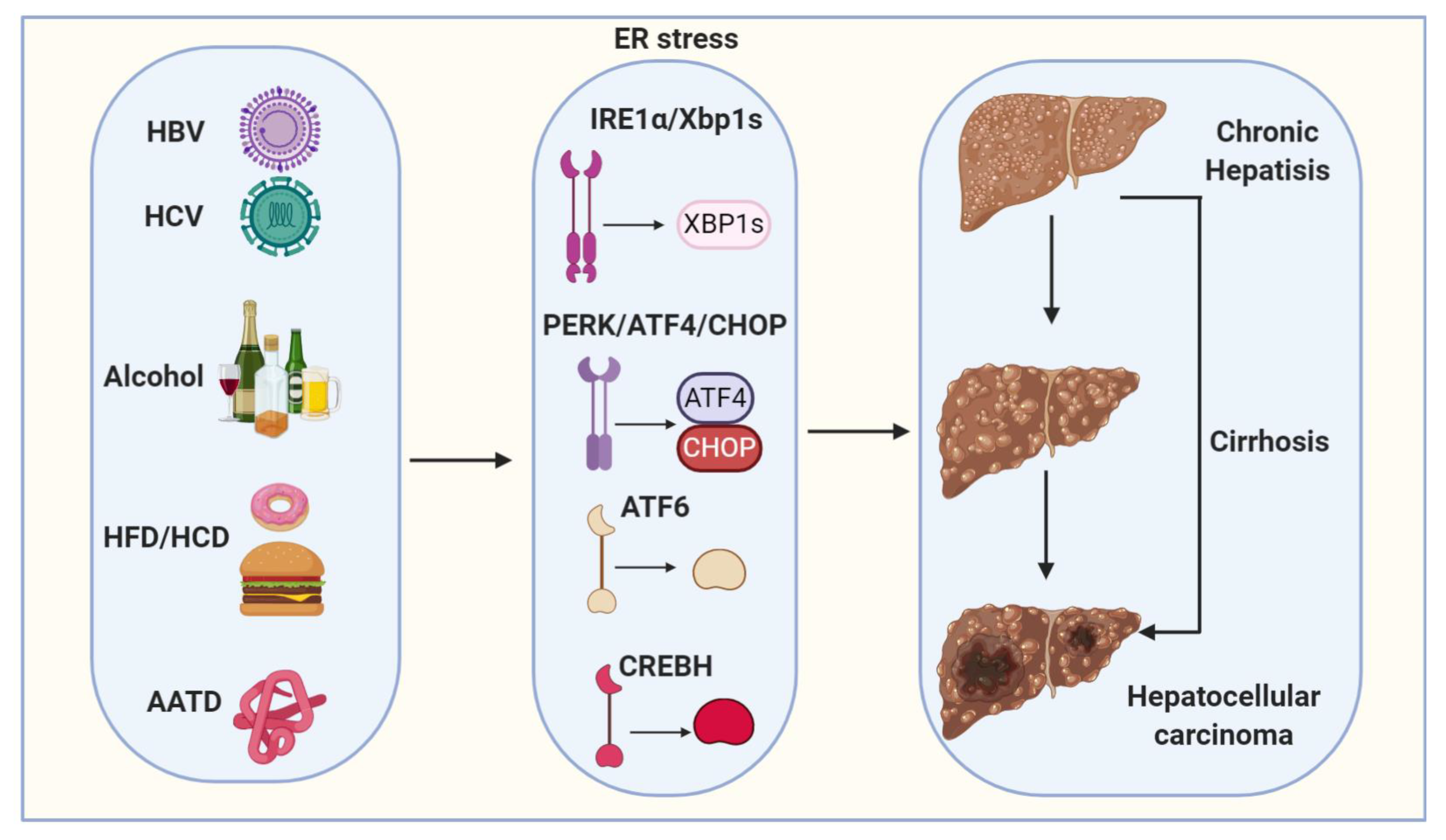 Ijms 22 01799 g002 Ijms 22 01799 g002