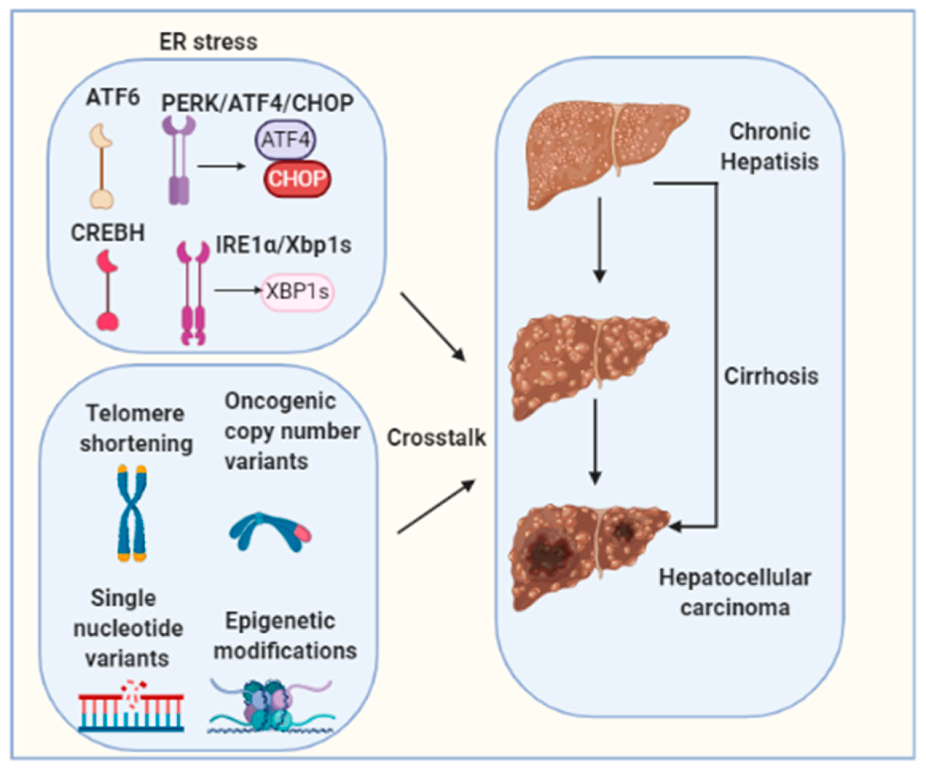Ijms 22 01799 g003 Ijms 22 01799 g003
