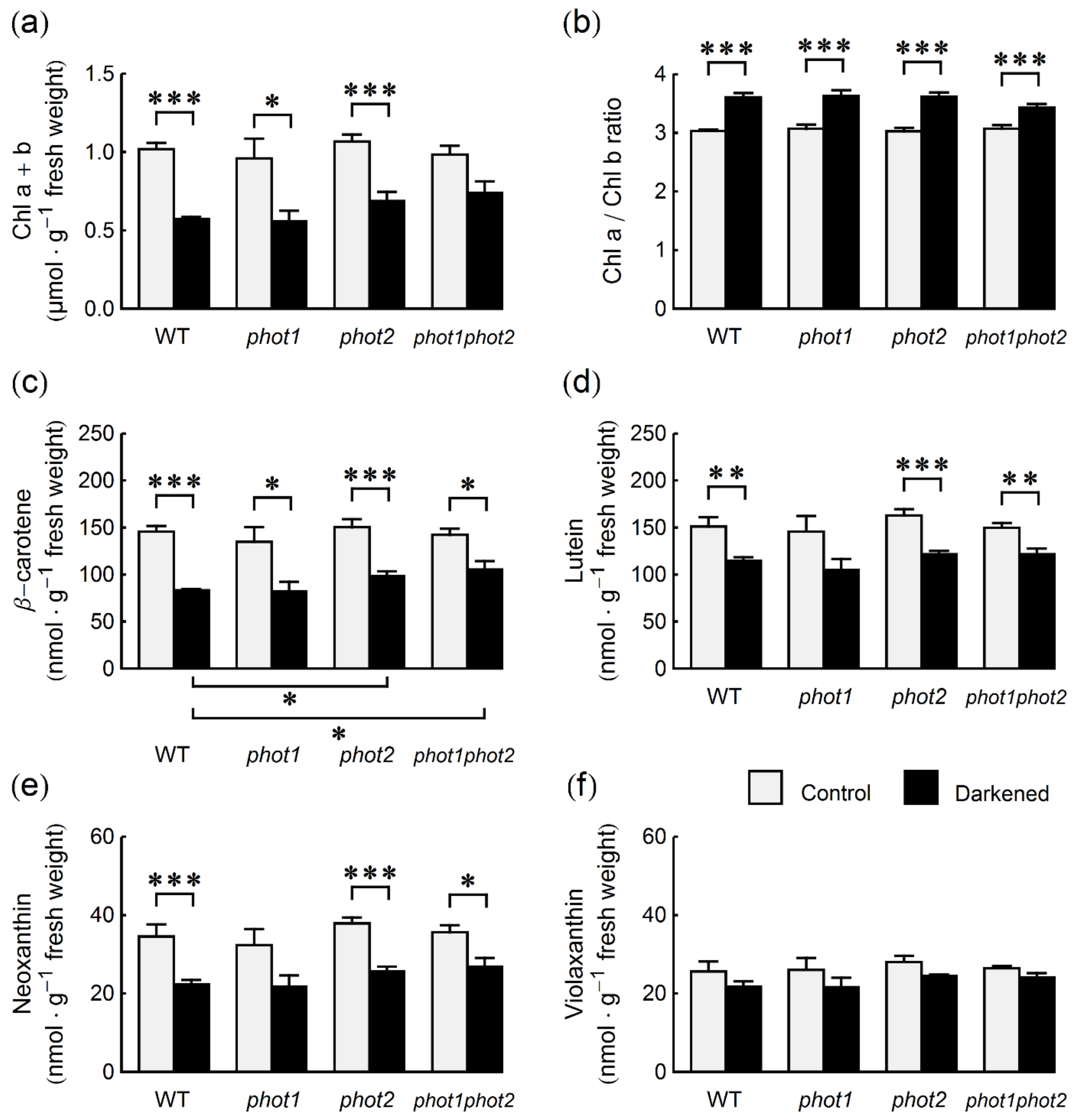 Ijms 22 01836 g002 Ijms 22 01836 g002