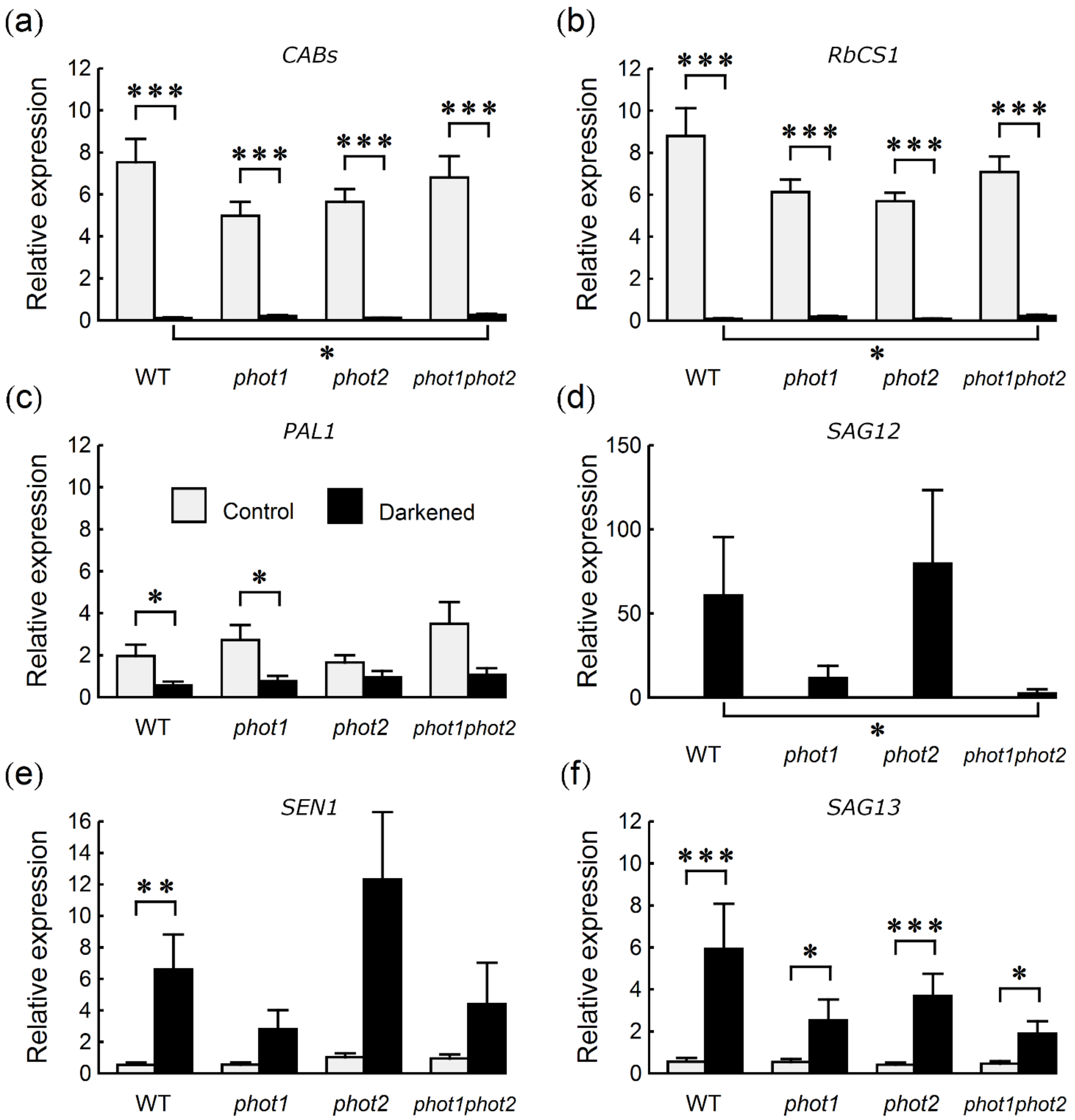 Ijms 22 01836 g003 Ijms 22 01836 g003