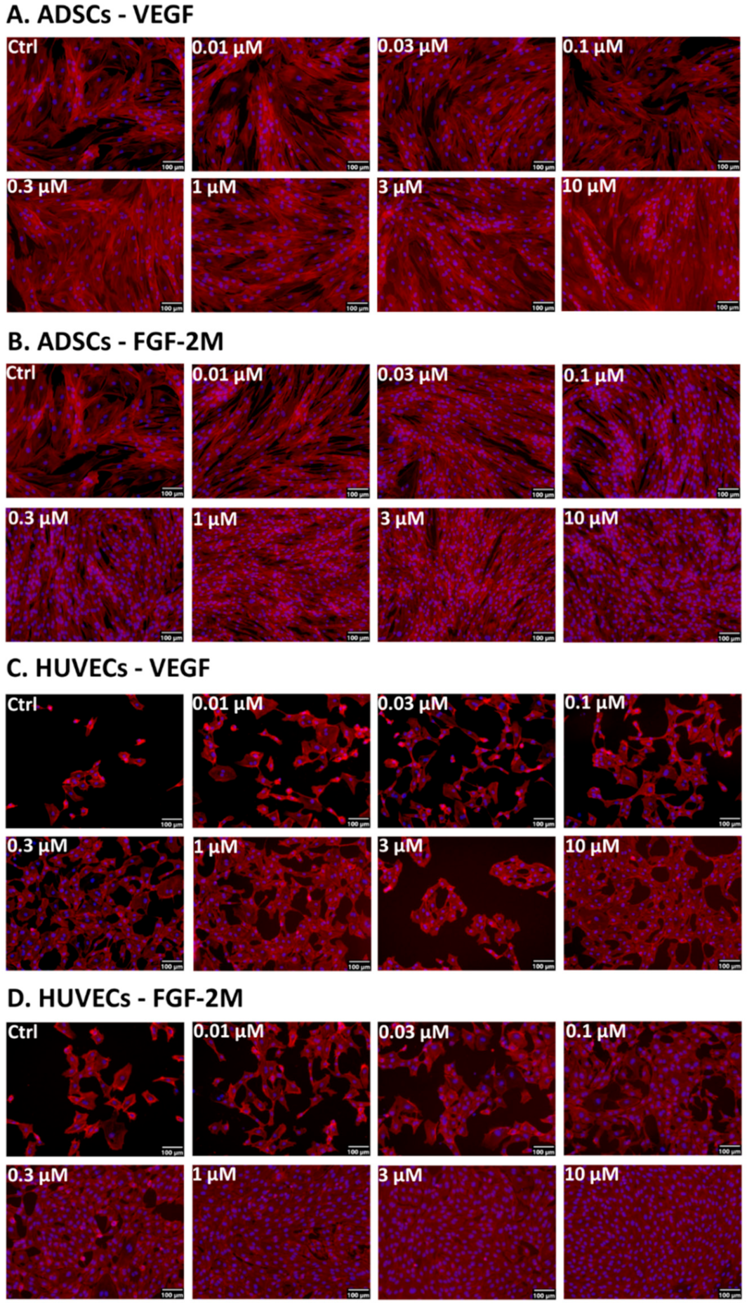 Ijms 22 01843 g005 Ijms 22 01843 g005