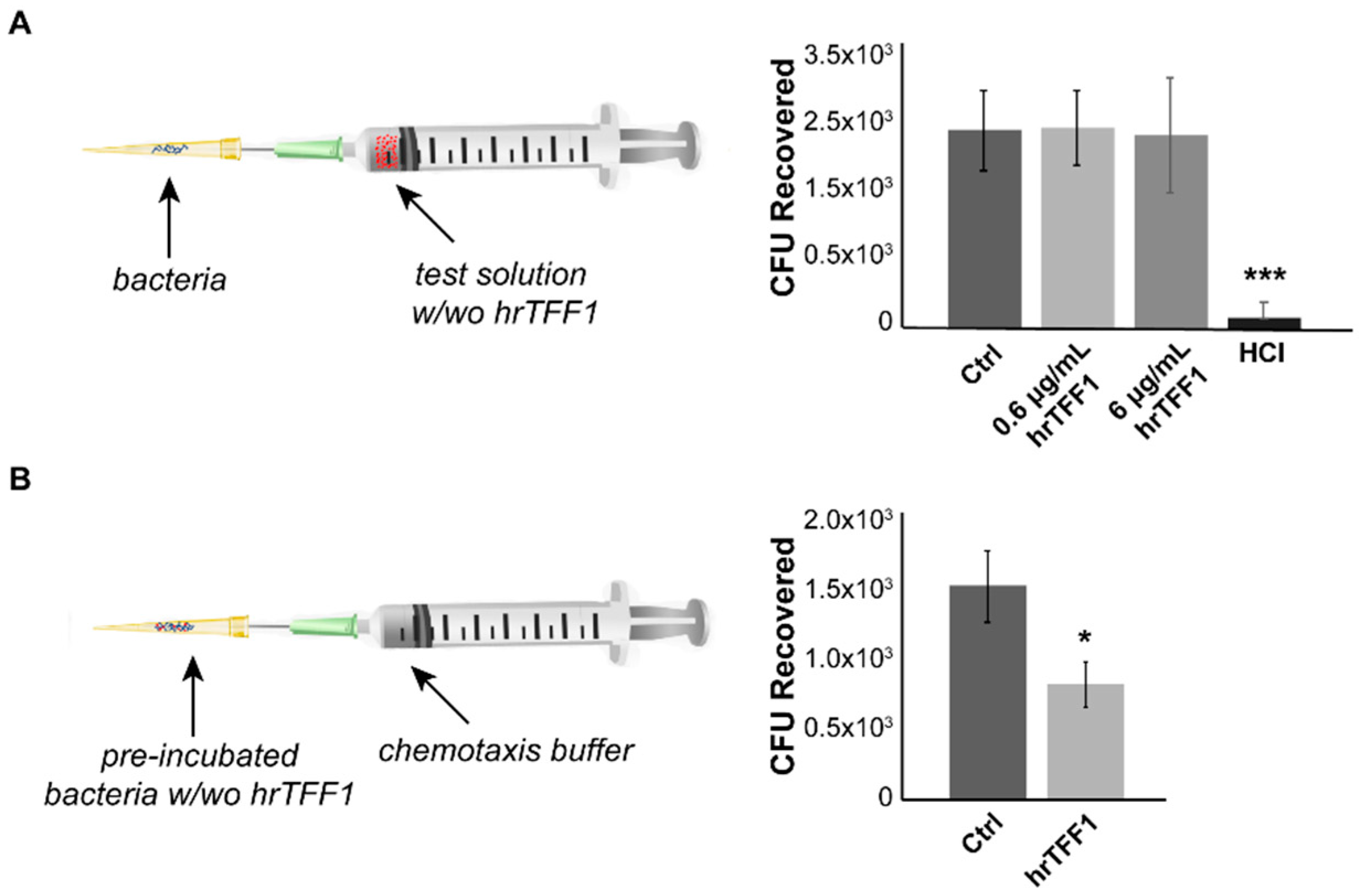 Ijms 22 01851 g003 Ijms 22 01851 g003