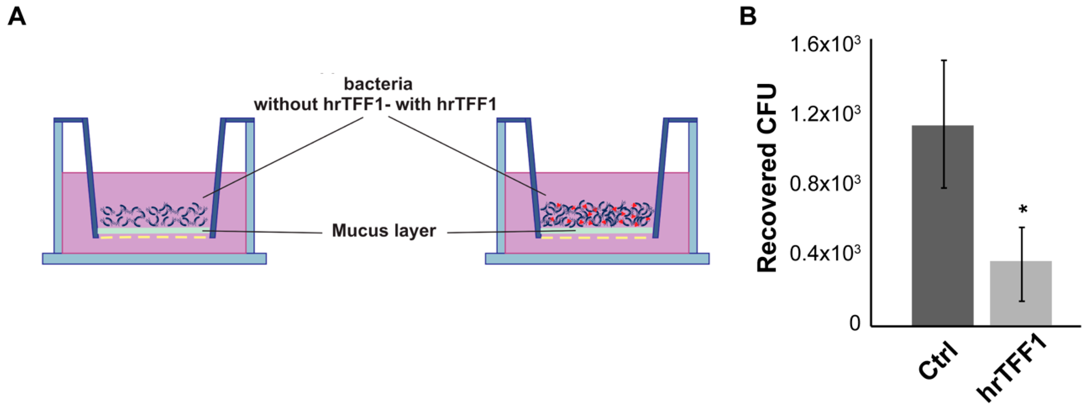 Ijms 22 01851 g004 Ijms 22 01851 g004