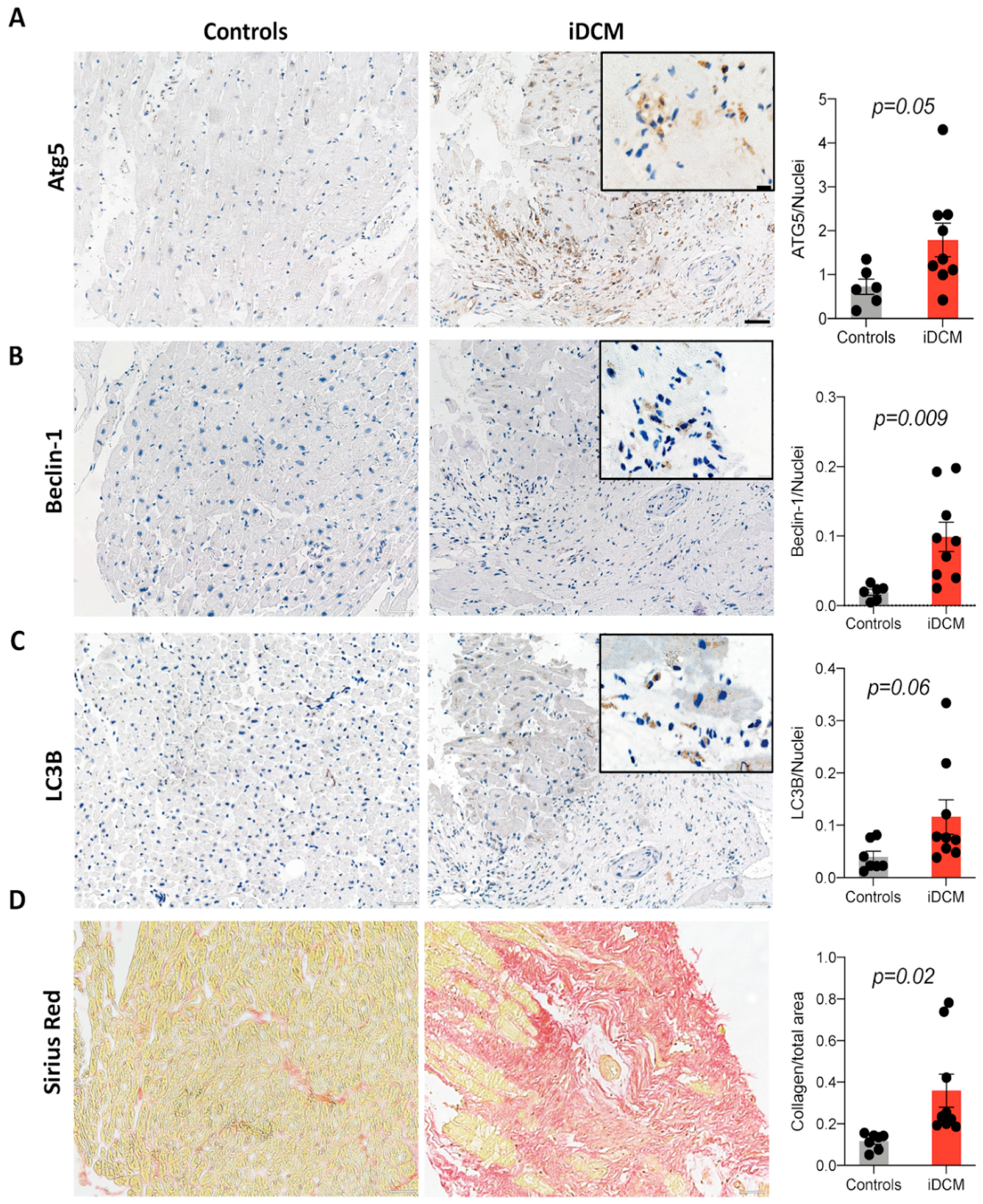 Ijms 22 01861 g001 Ijms 22 01861 g001