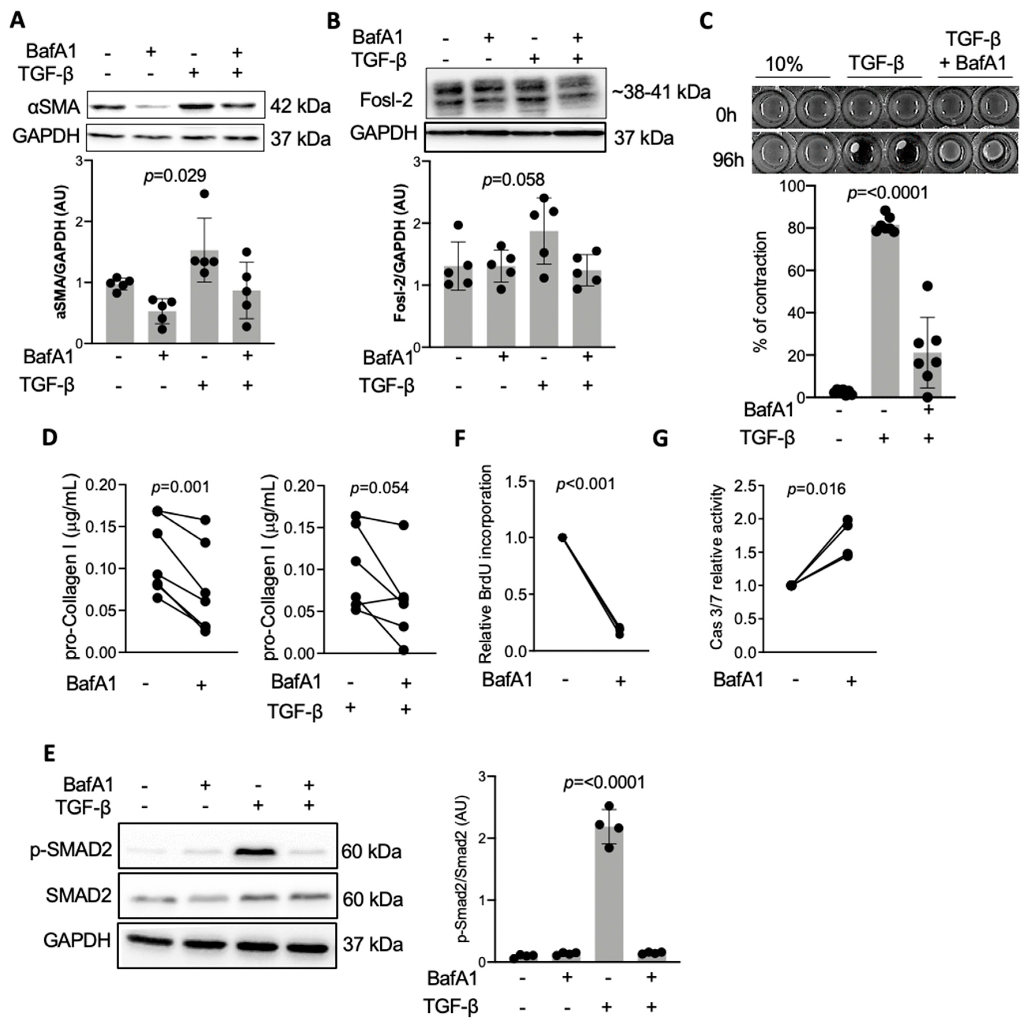 Ijms 22 01861 g003 Ijms 22 01861 g003