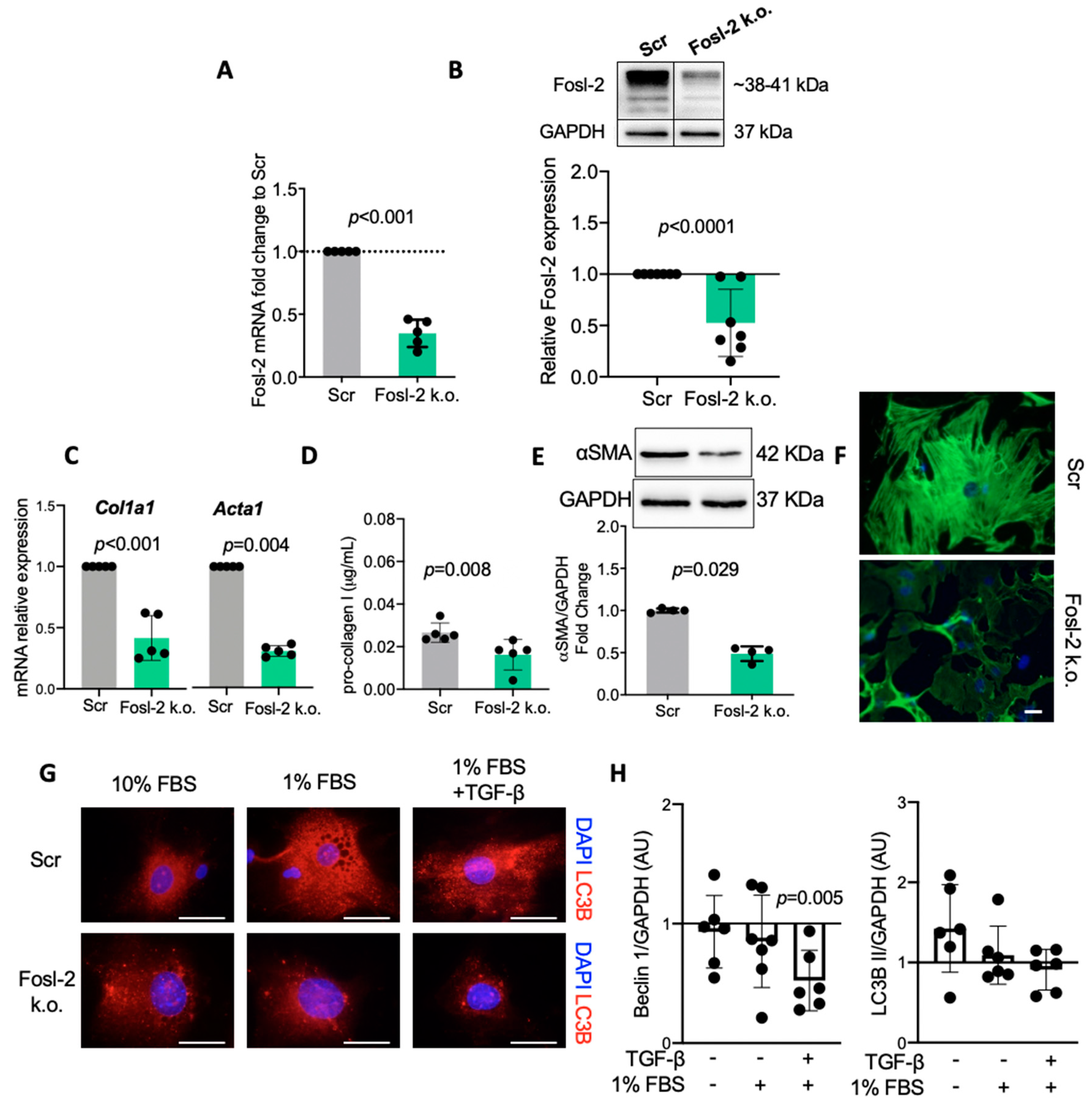Ijms 22 01861 g005 Ijms 22 01861 g005