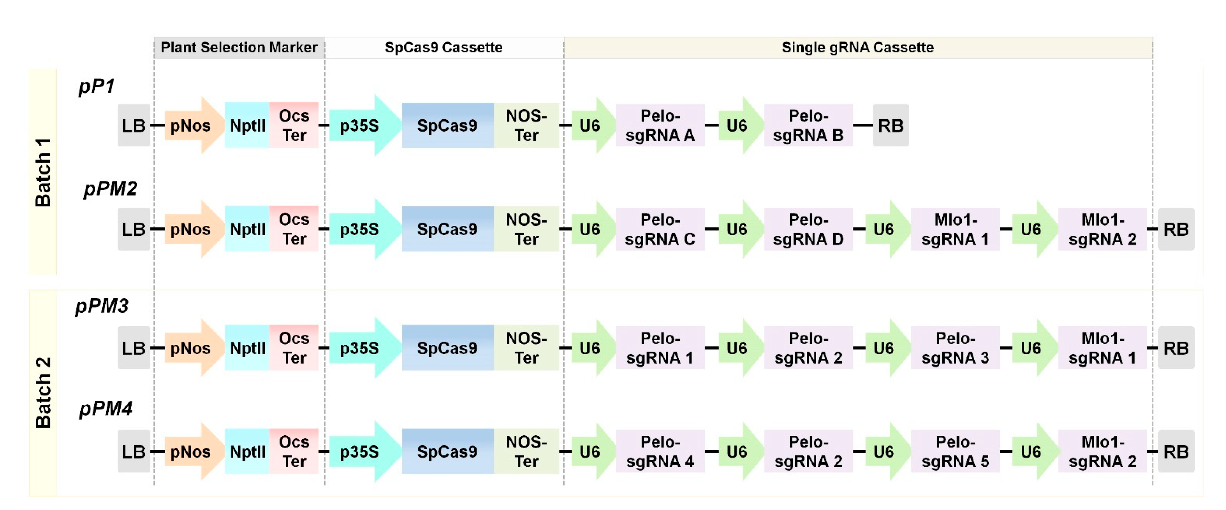 Ijms 22 01878 g002 Ijms 22 01878 g002