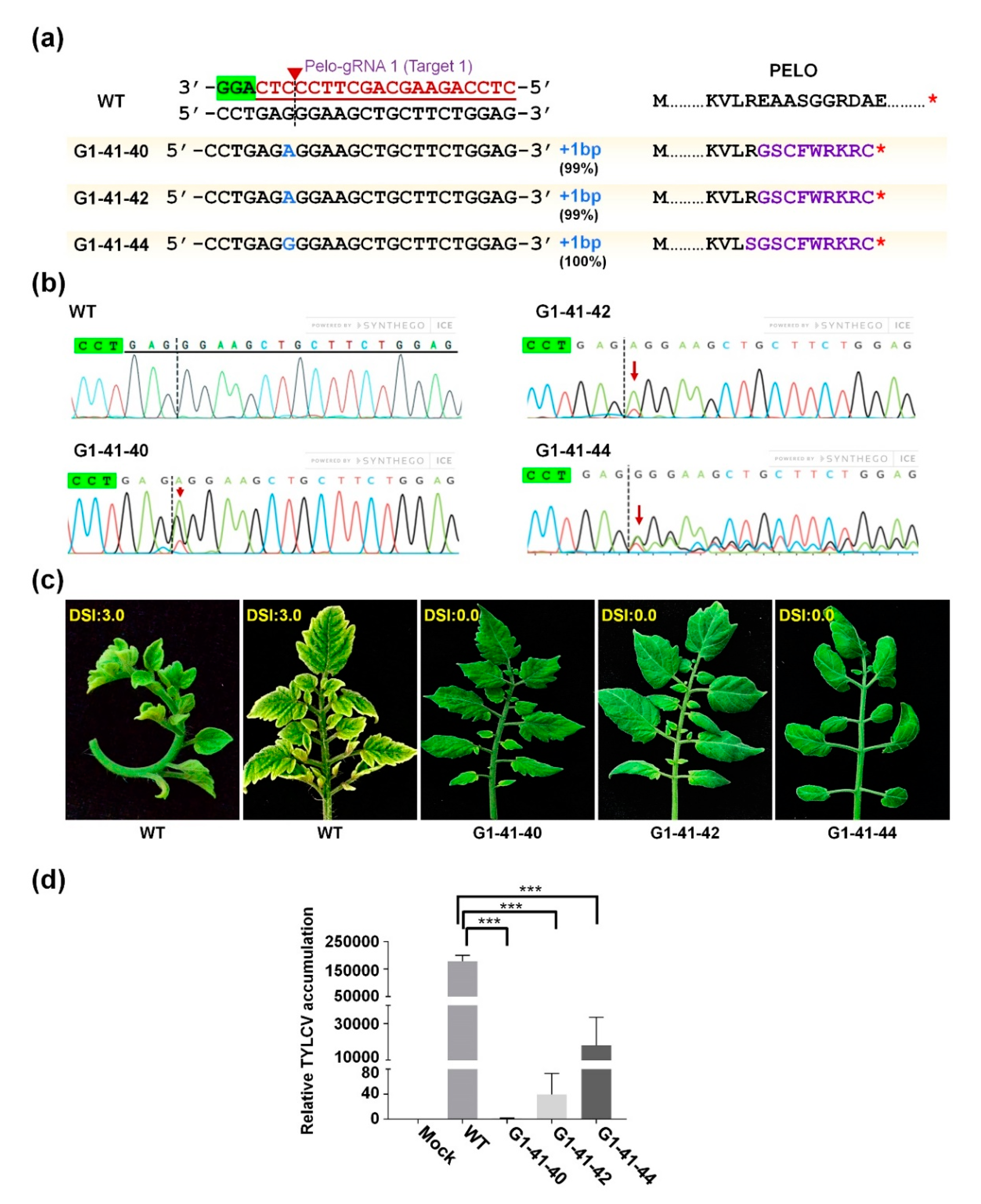 Ijms 22 01878 g003 Ijms 22 01878 g003