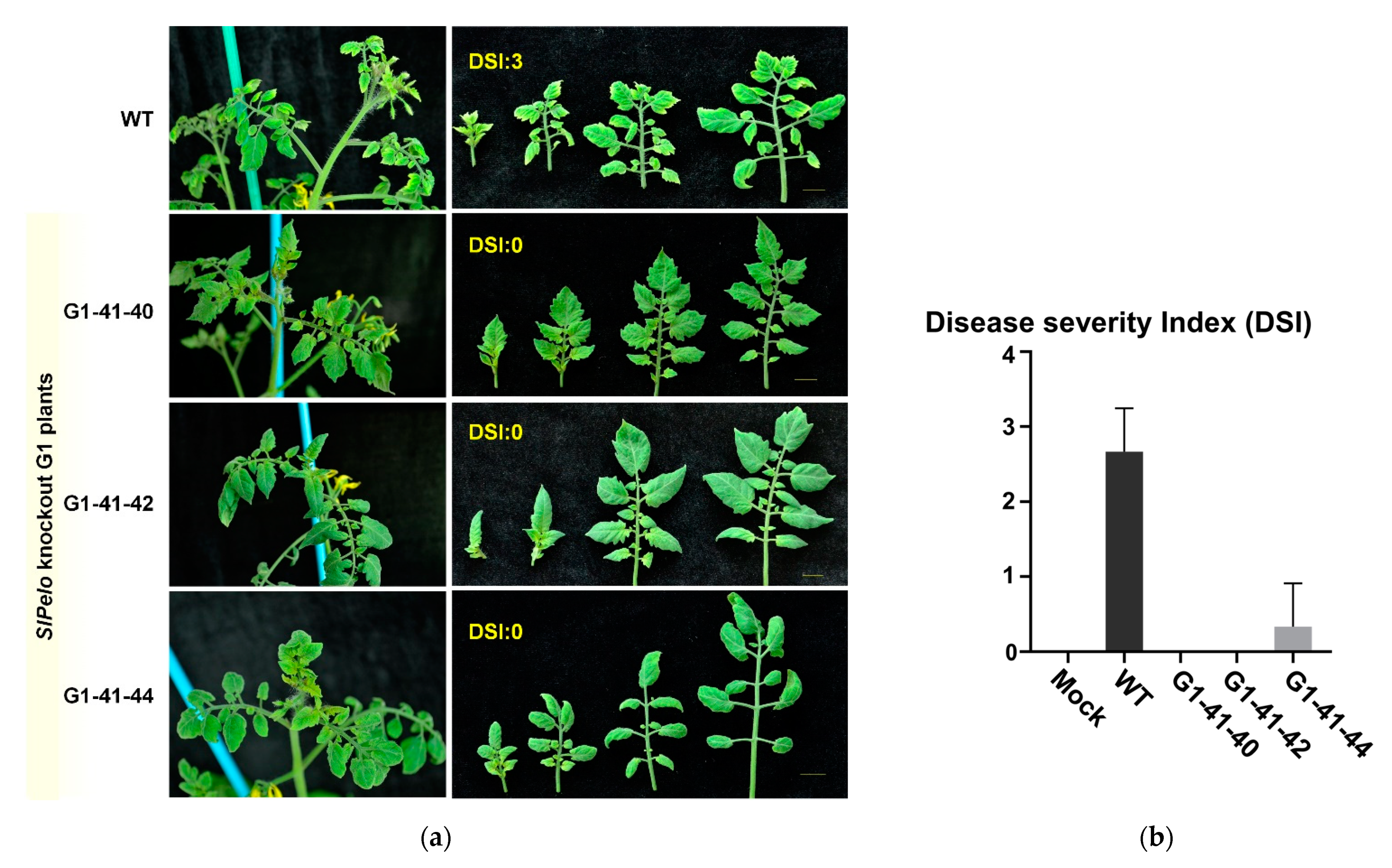 Ijms 22 01878 g004 Ijms 22 01878 g004