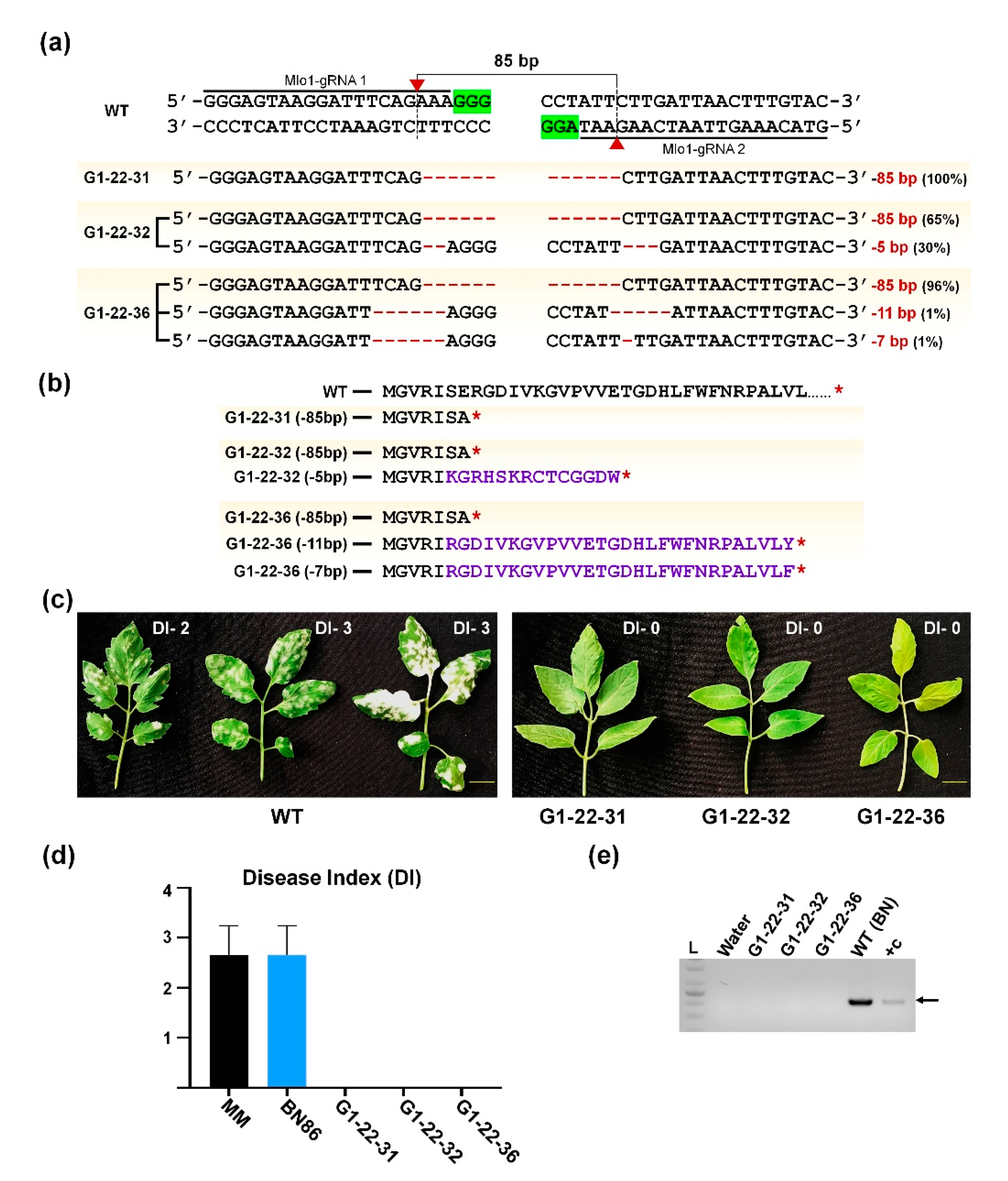 Ijms 22 01878 g006 Ijms 22 01878 g006