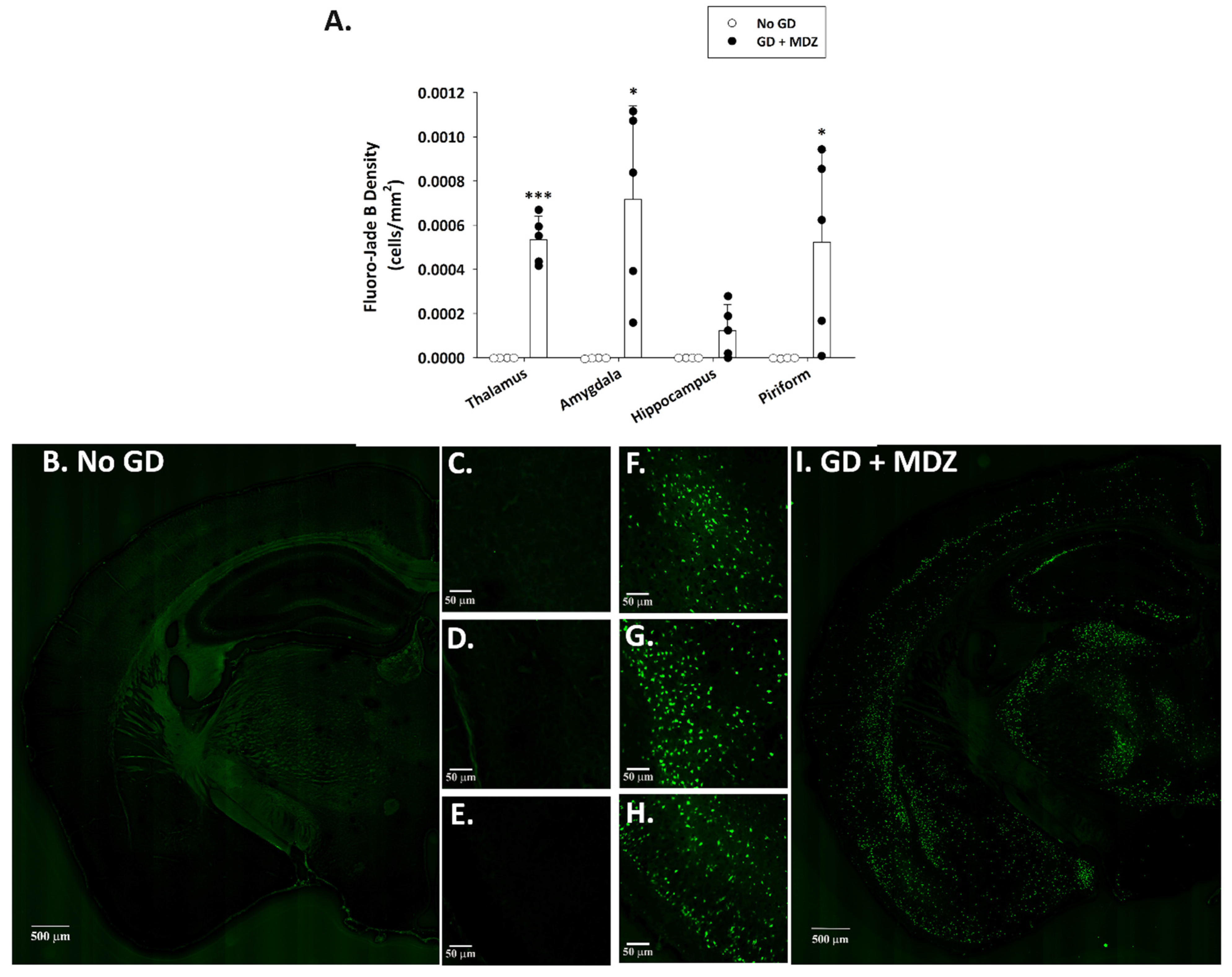 Ijms 22 01893 g002 Ijms 22 01893 g002