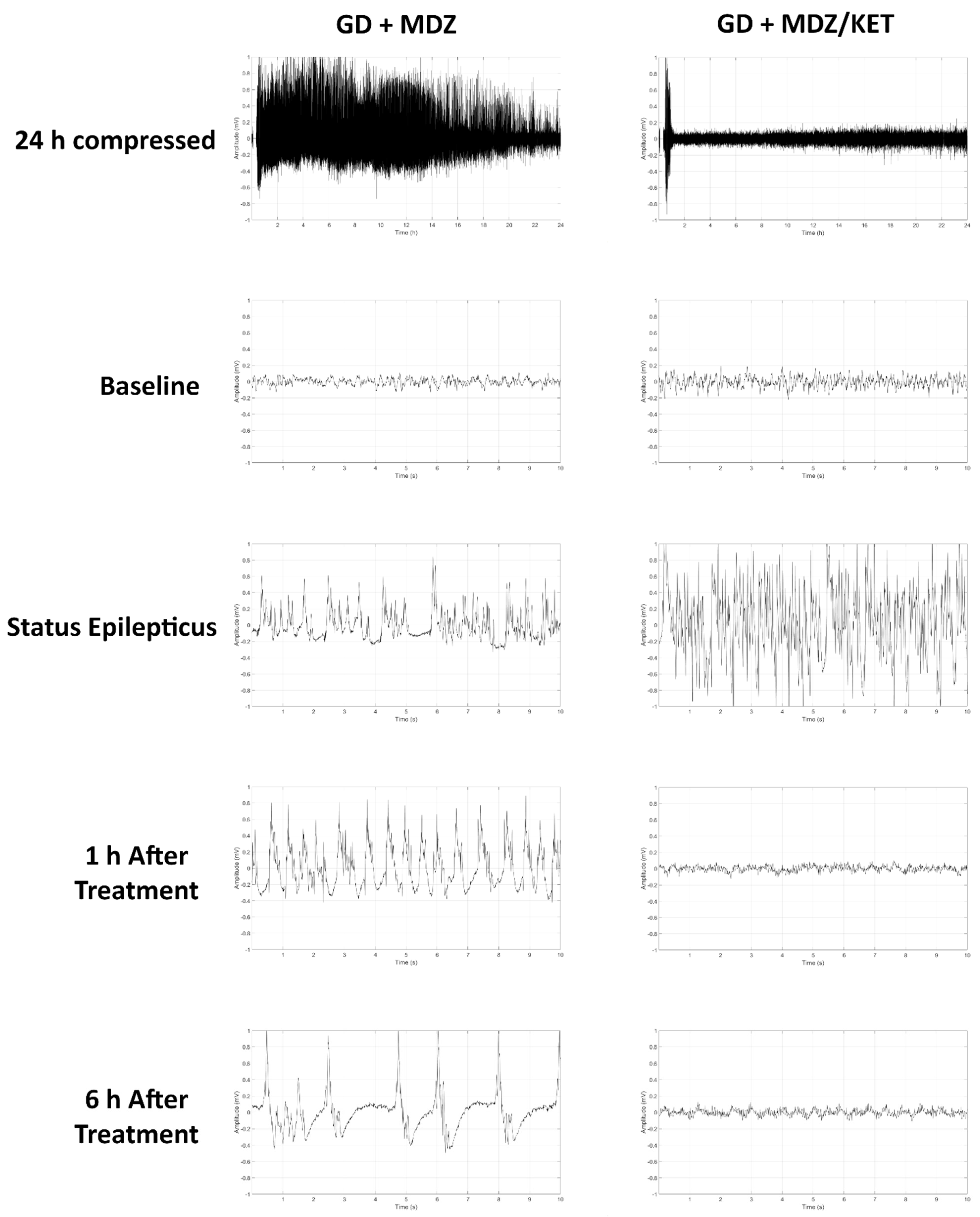 Ijms 22 01893 g006 Ijms 22 01893 g006