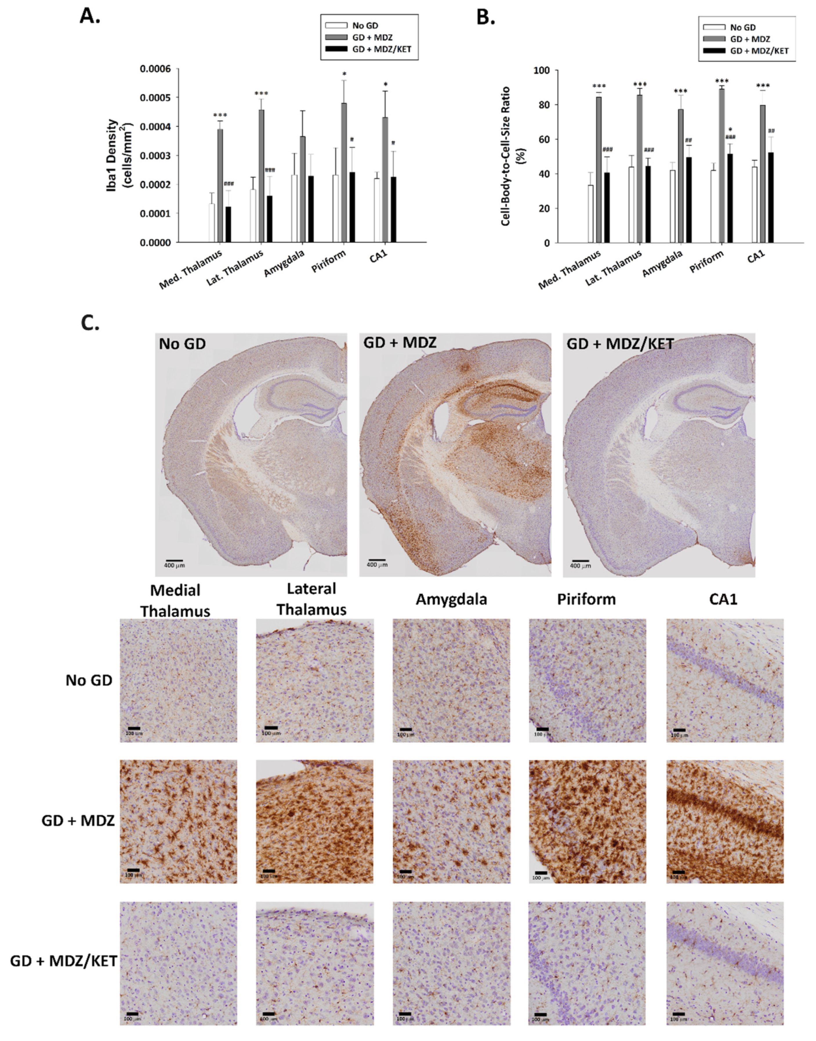 Ijms 22 01893 g009 Ijms 22 01893 g009