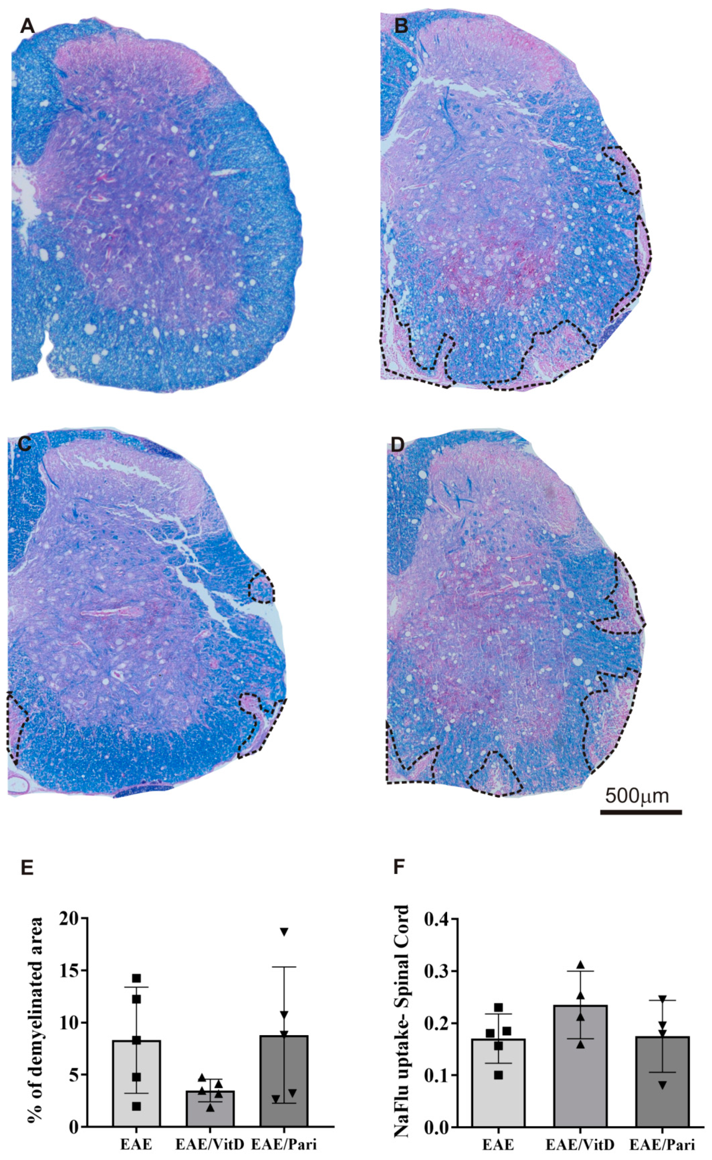 Ijms 22 01914 g003 Ijms 22 01914 g003