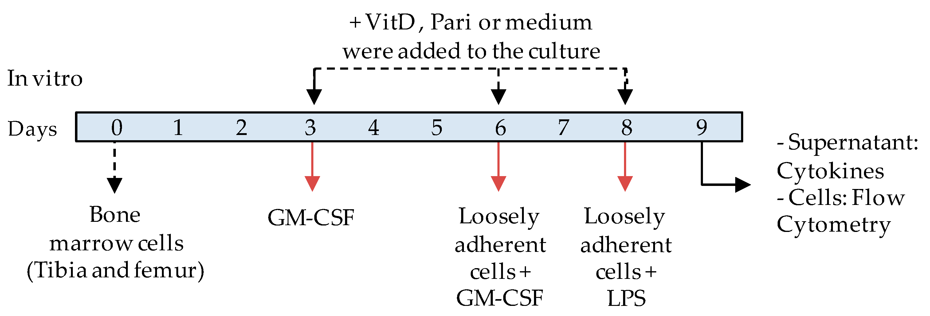 Ijms 22 01914 g009 Ijms 22 01914 g009