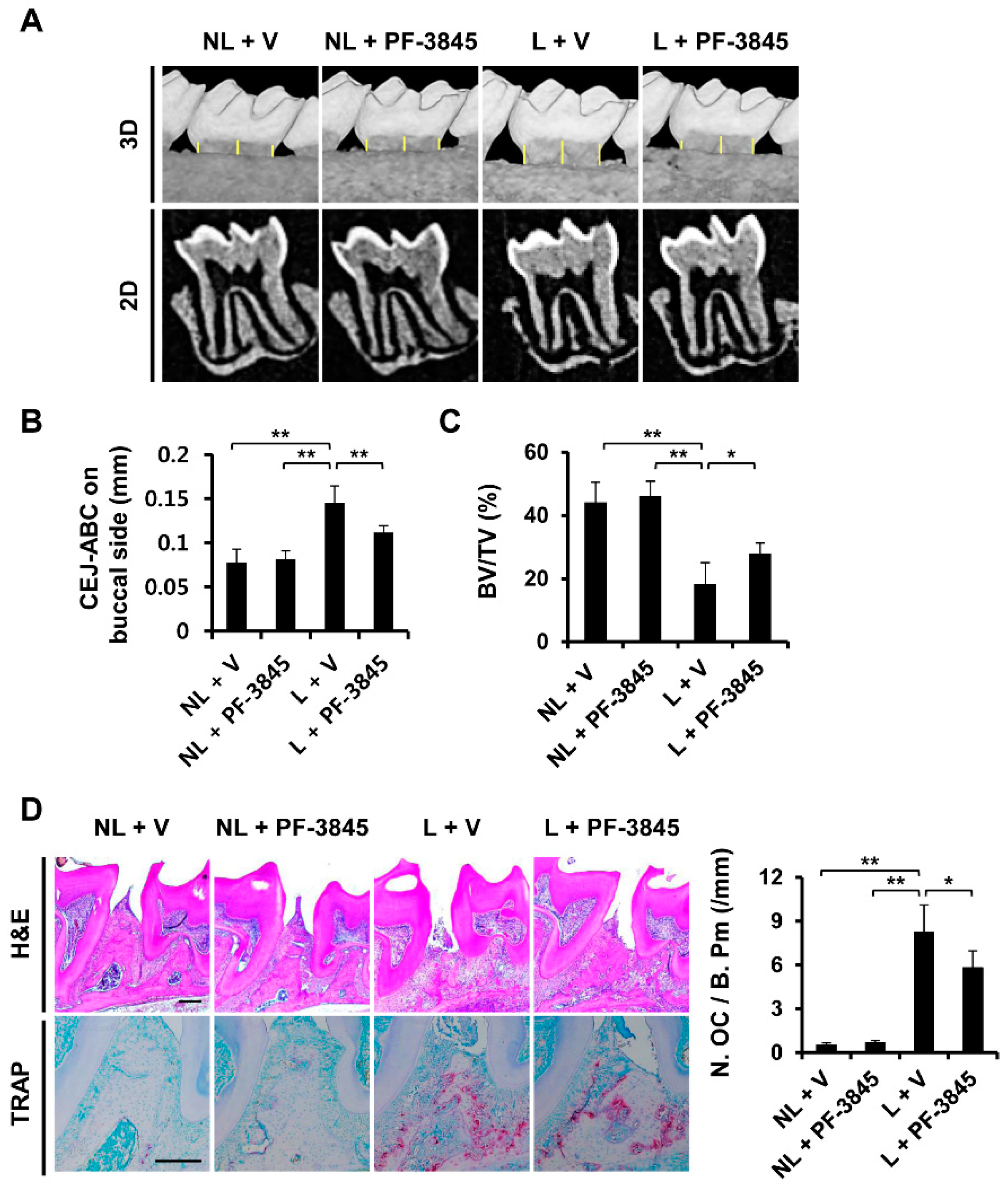 Ijms 22 01915 g005 Ijms 22 01915 g005