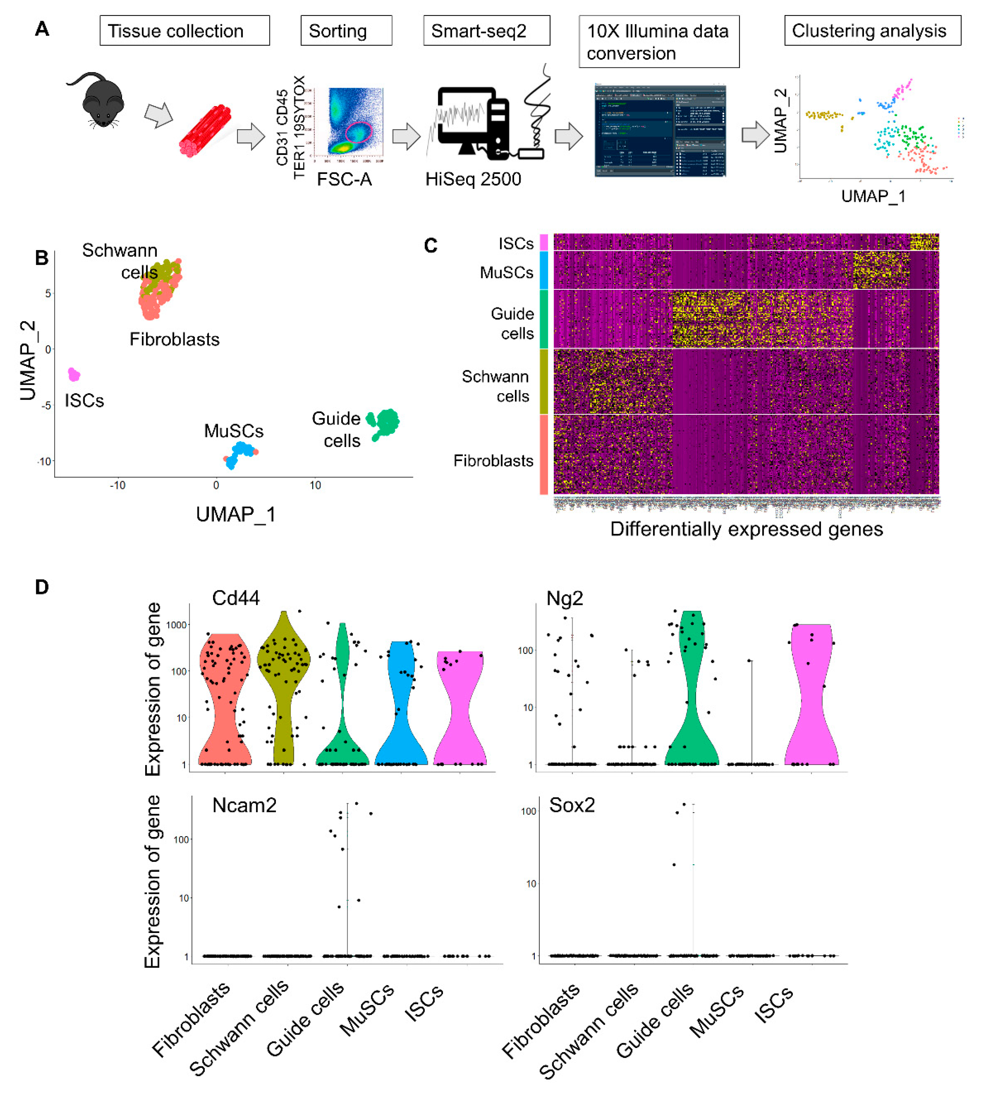 Ijms 22 01939 g001 Ijms 22 01939 g001