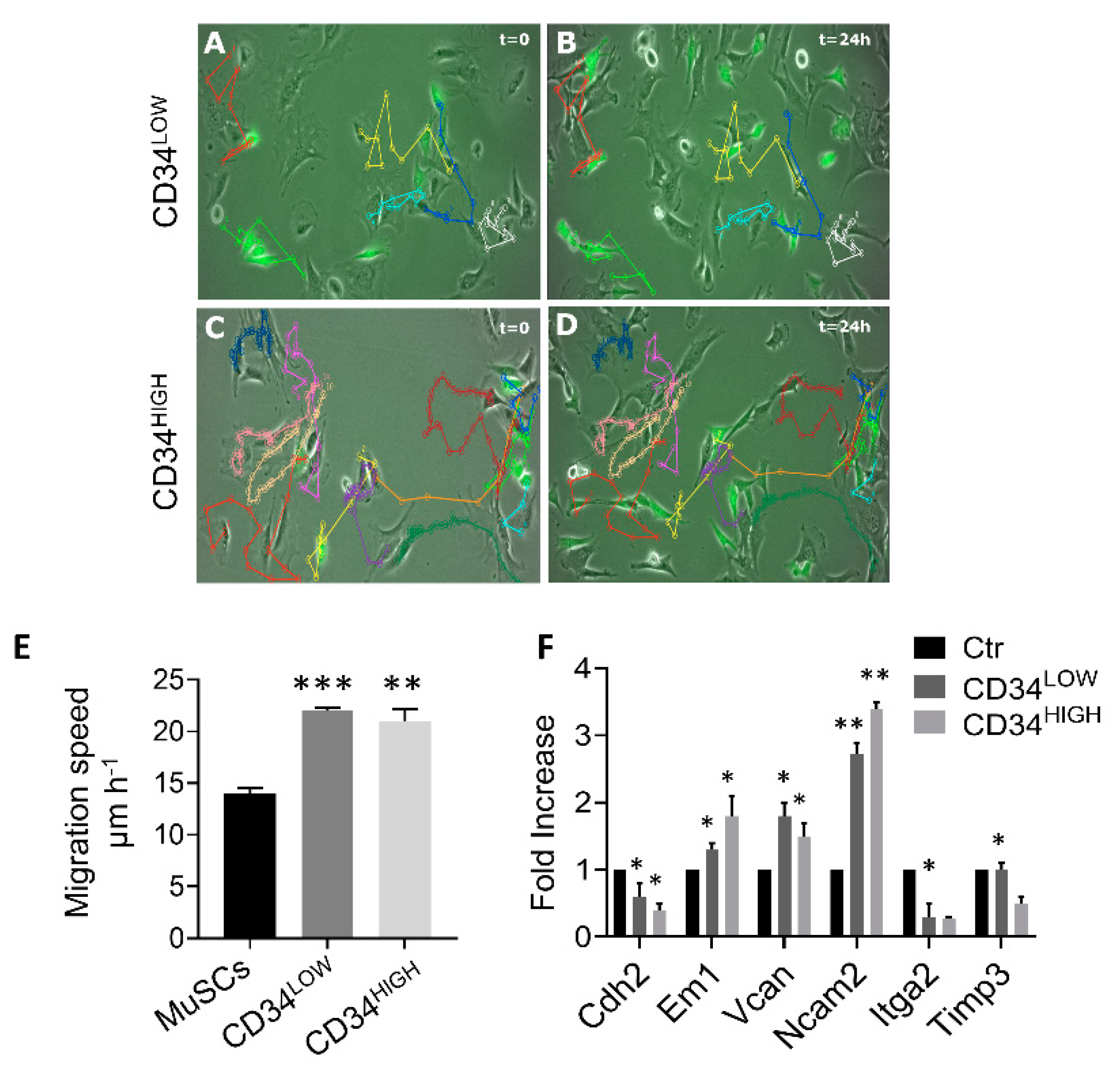 Ijms 22 01939 g003 Ijms 22 01939 g003
