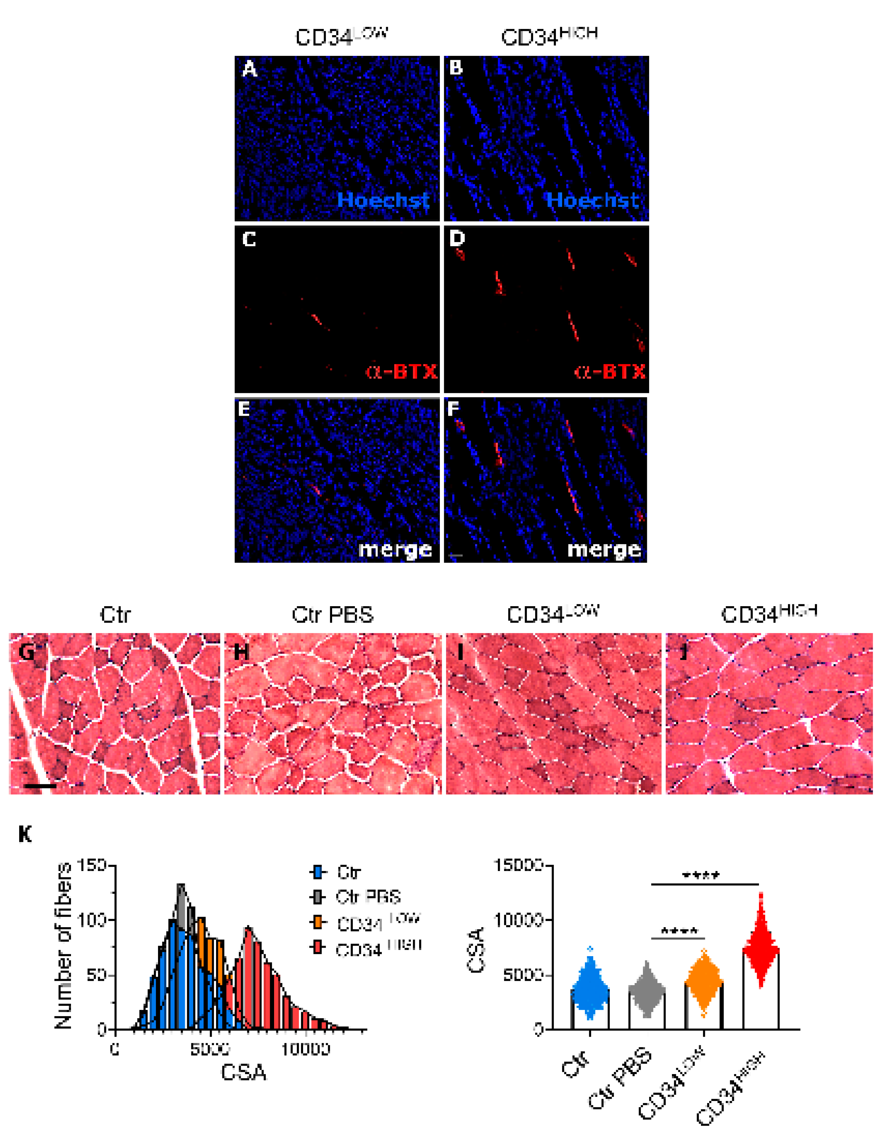 Ijms 22 01939 g005 Ijms 22 01939 g005