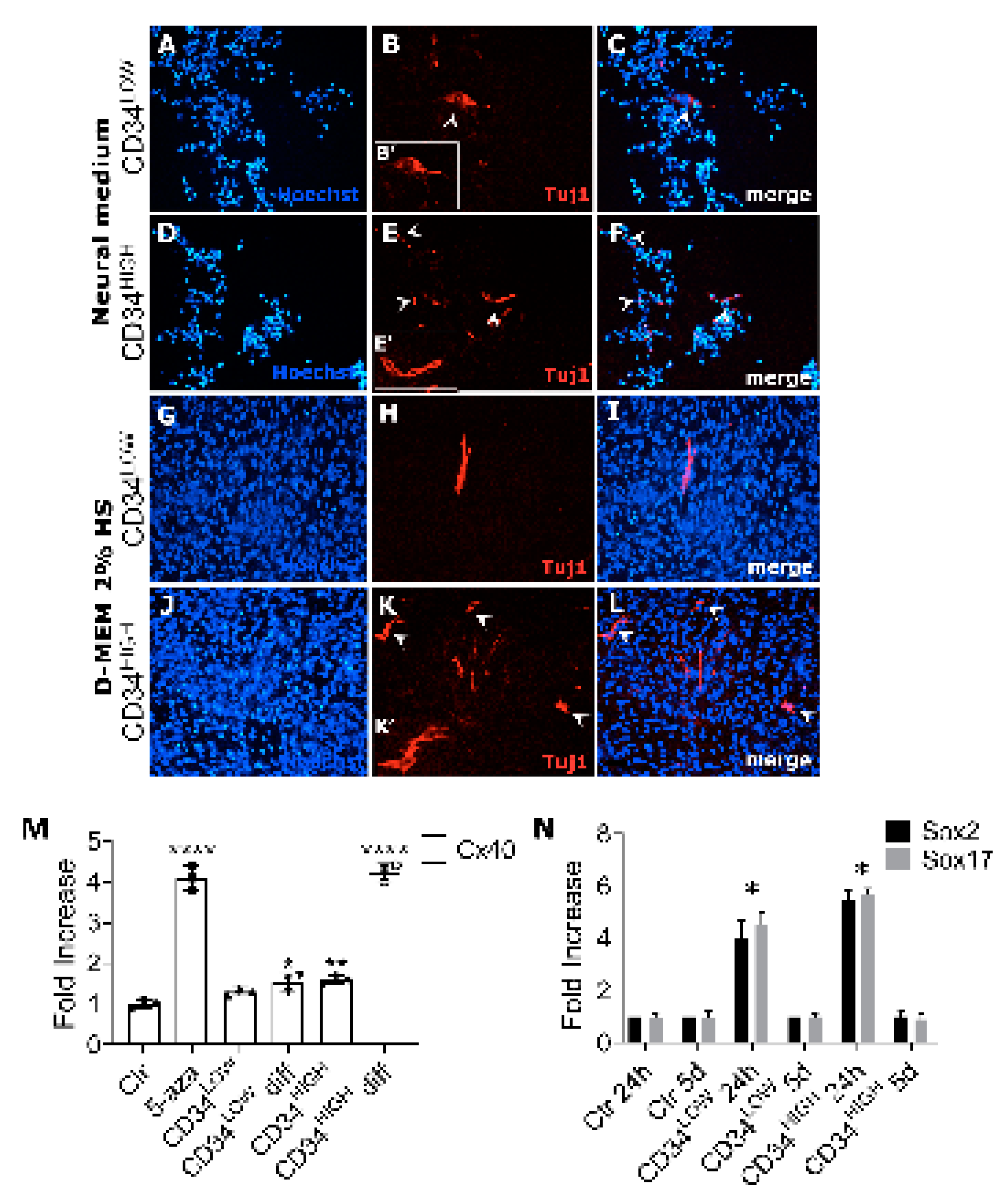 Ijms 22 01939 g006 Ijms 22 01939 g006