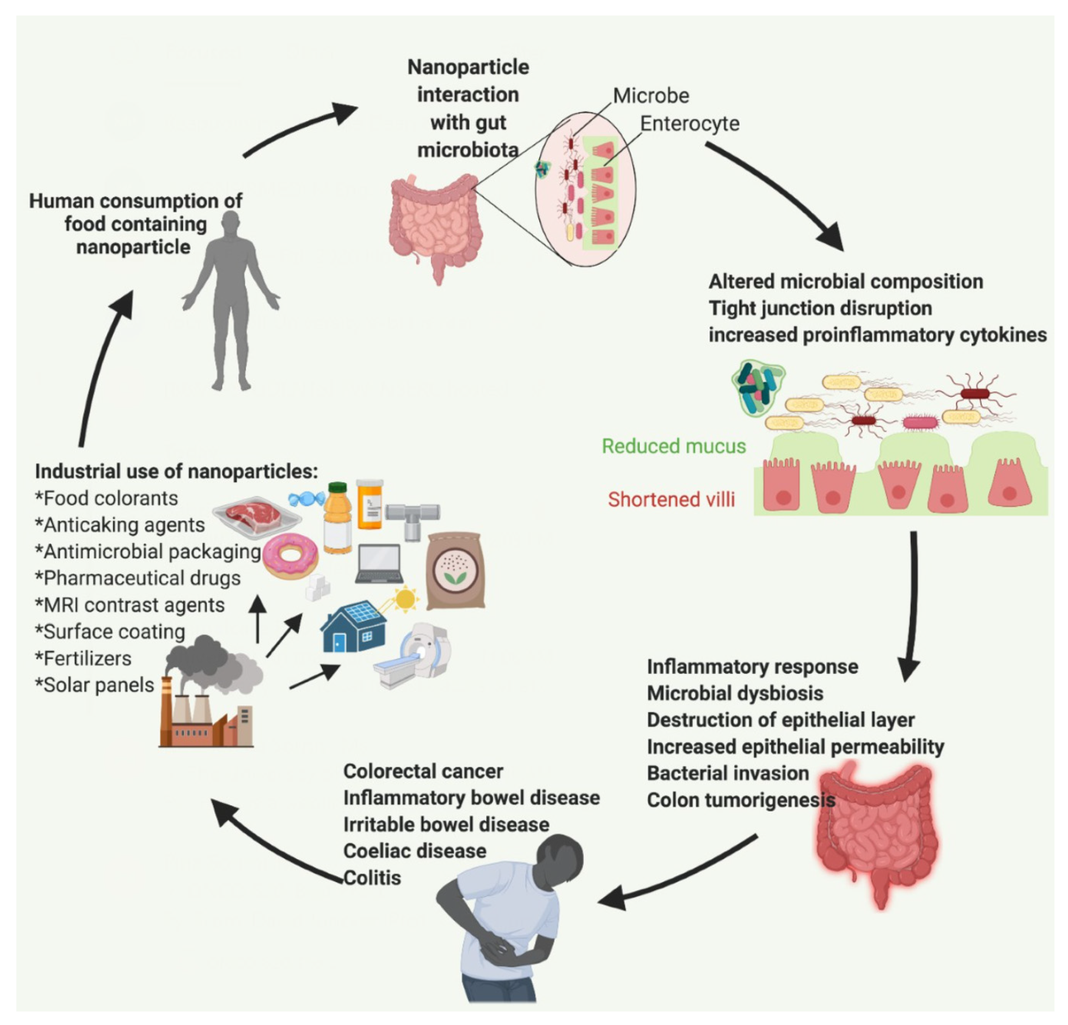 Ijms 22 01942 g001 Ijms 22 01942 g001