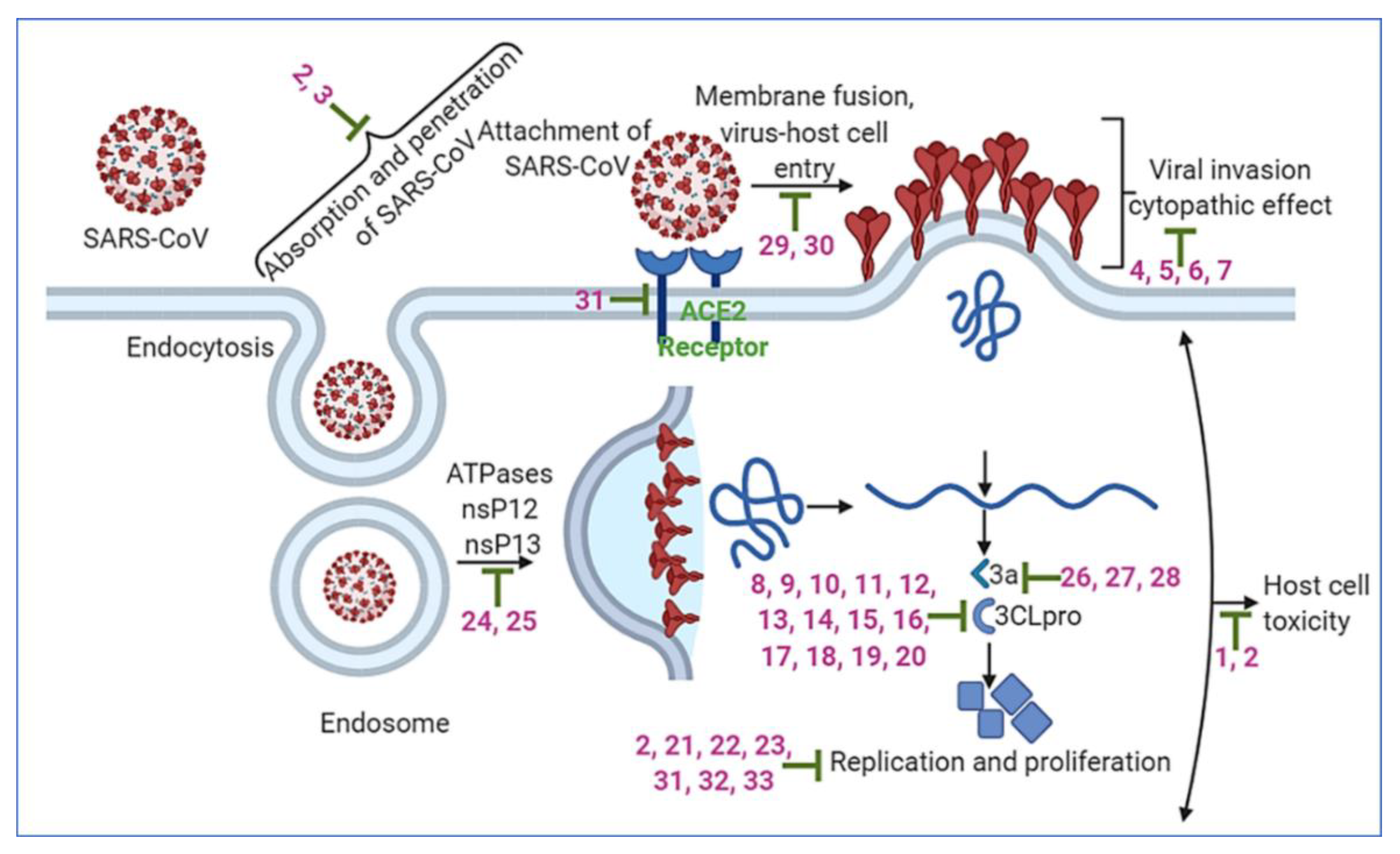 Ijms 22 01963 sch001