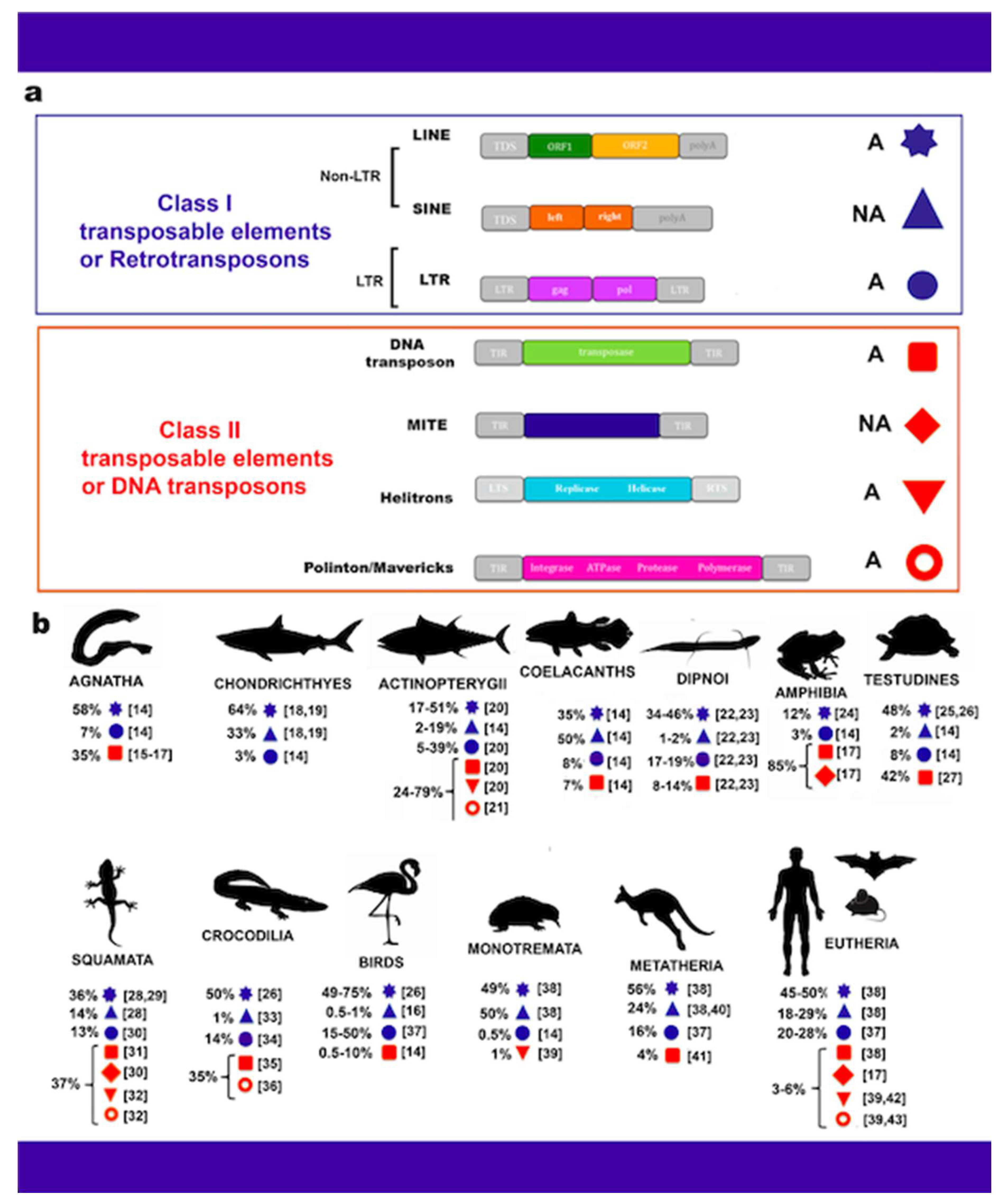 Ijms 22 01970 g001 Ijms 22 01970 g001