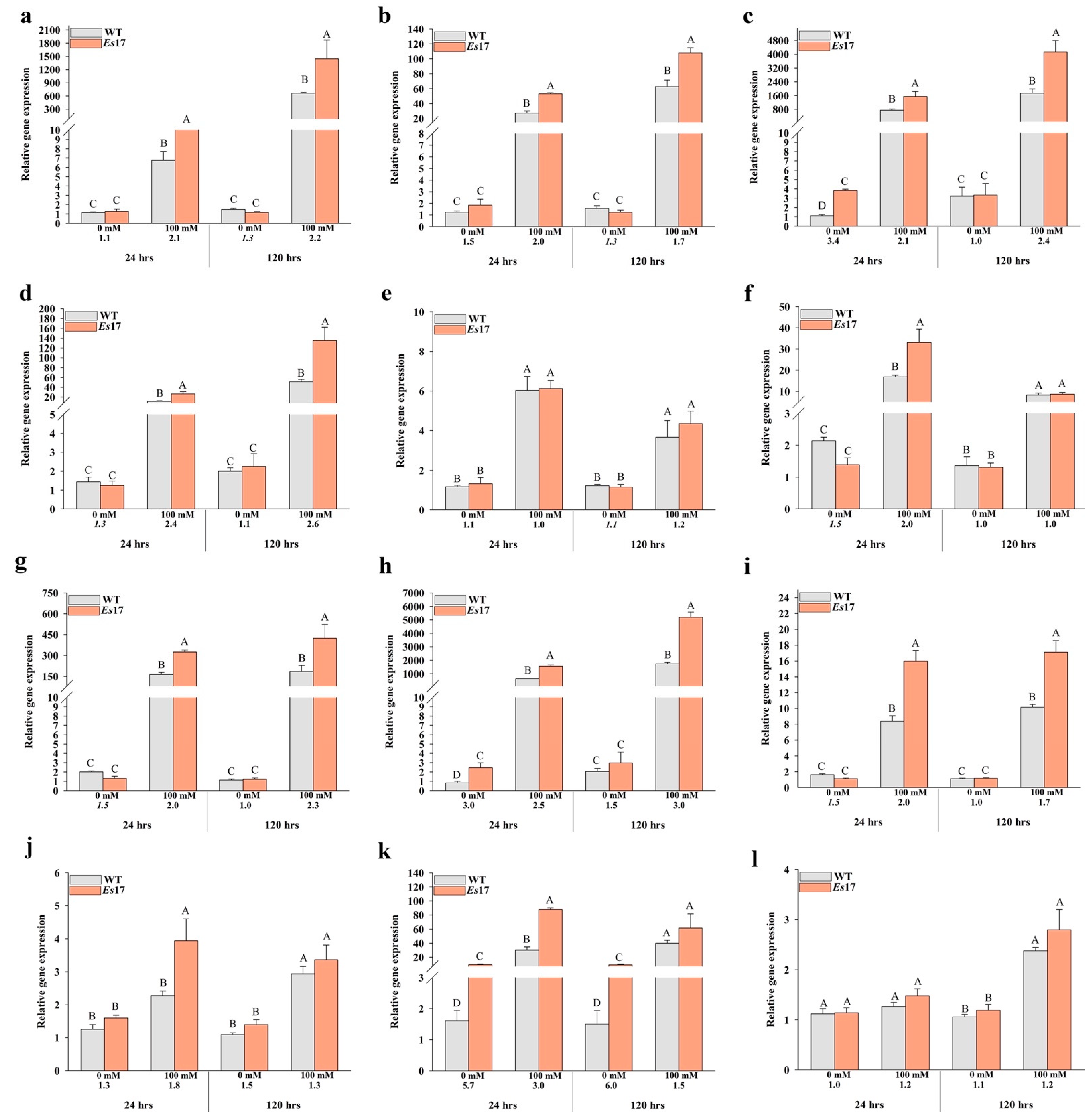 Ijms 22 01971 g006 Ijms 22 01971 g006