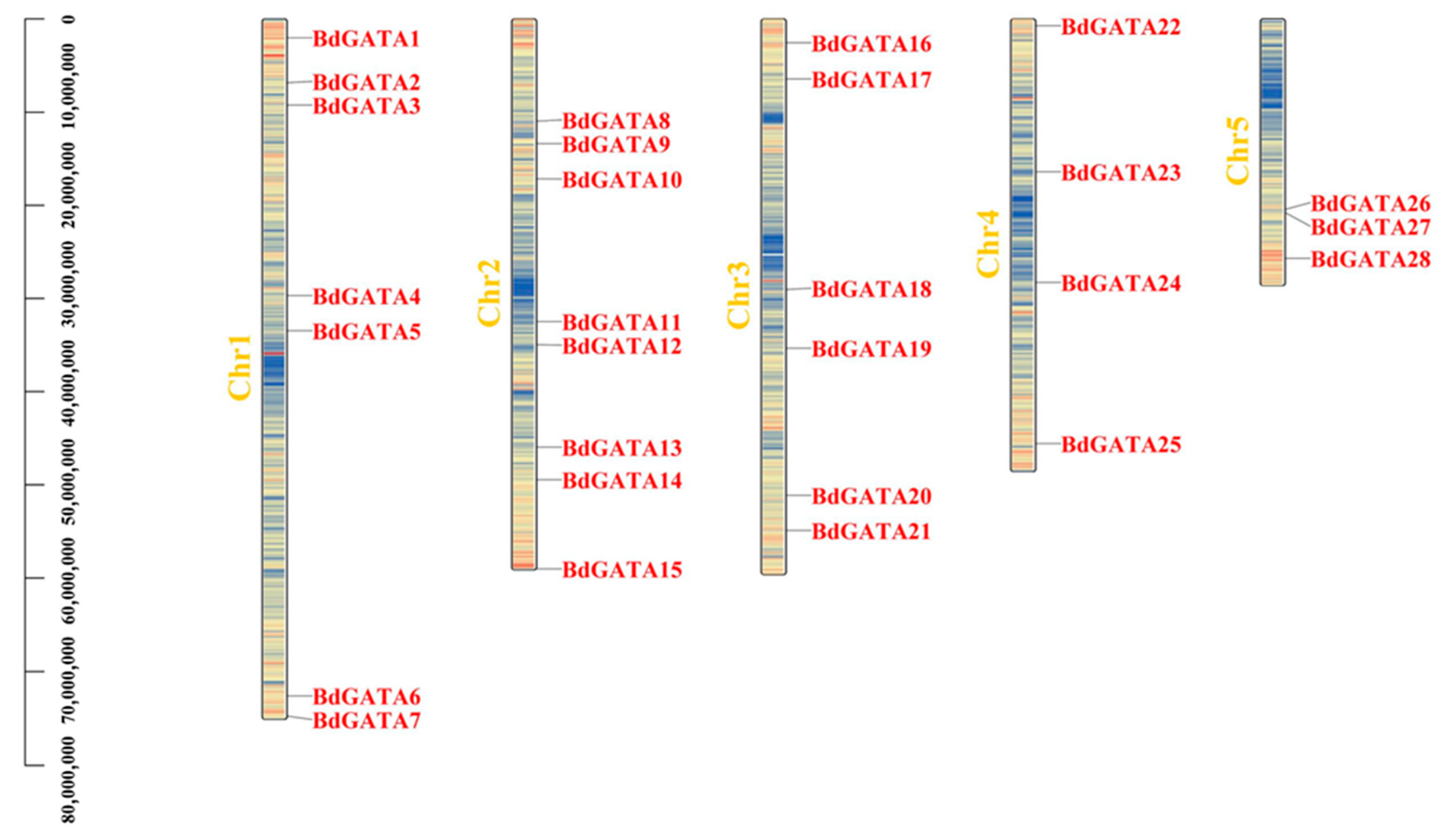 Ijms 22 02026 g002 Ijms 22 02026 g002