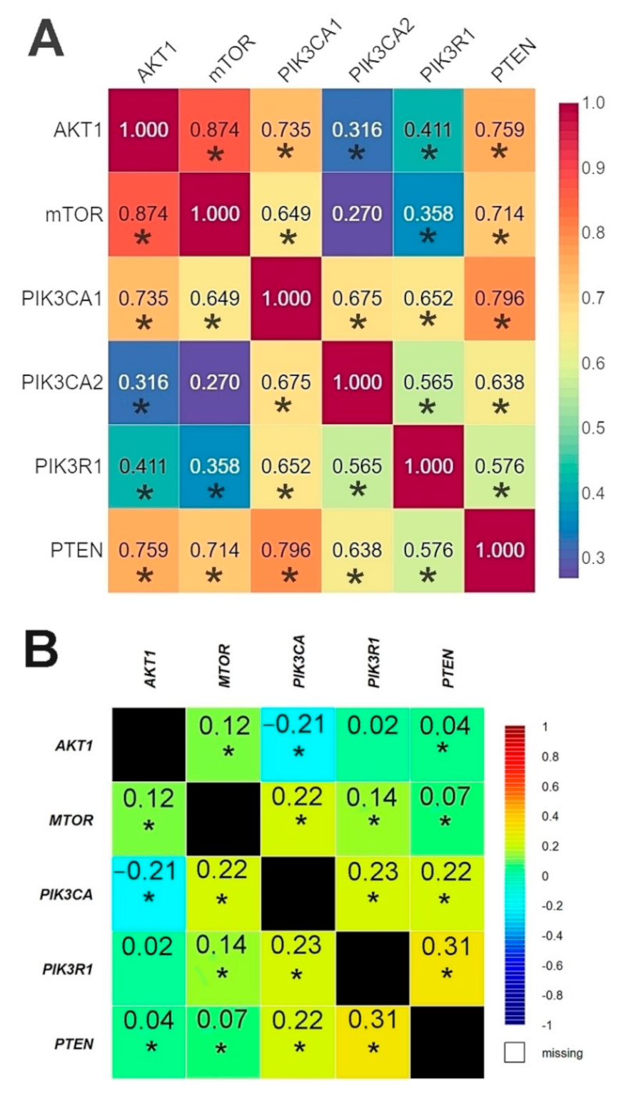 Ijms 22 02061 g005 Ijms 22 02061 g005