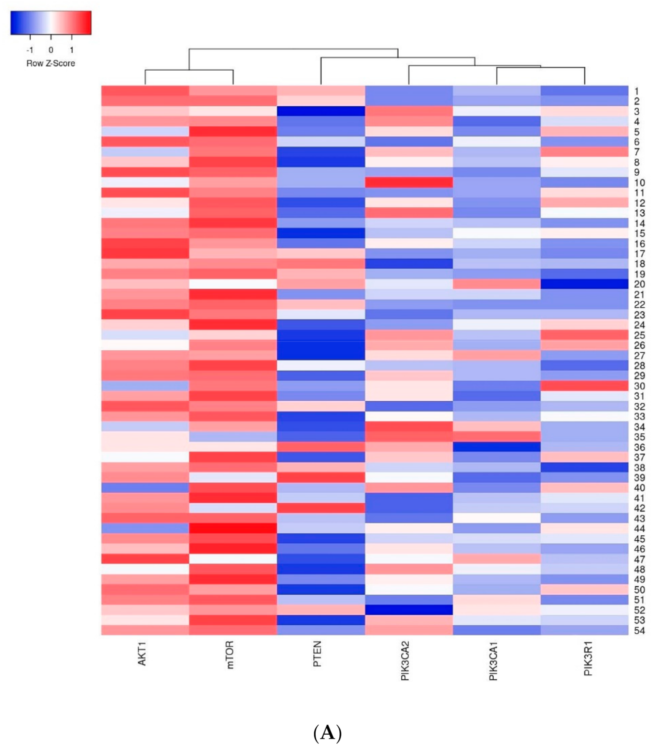Ijms 22 02061 g007a Ijms 22 02061 g007a