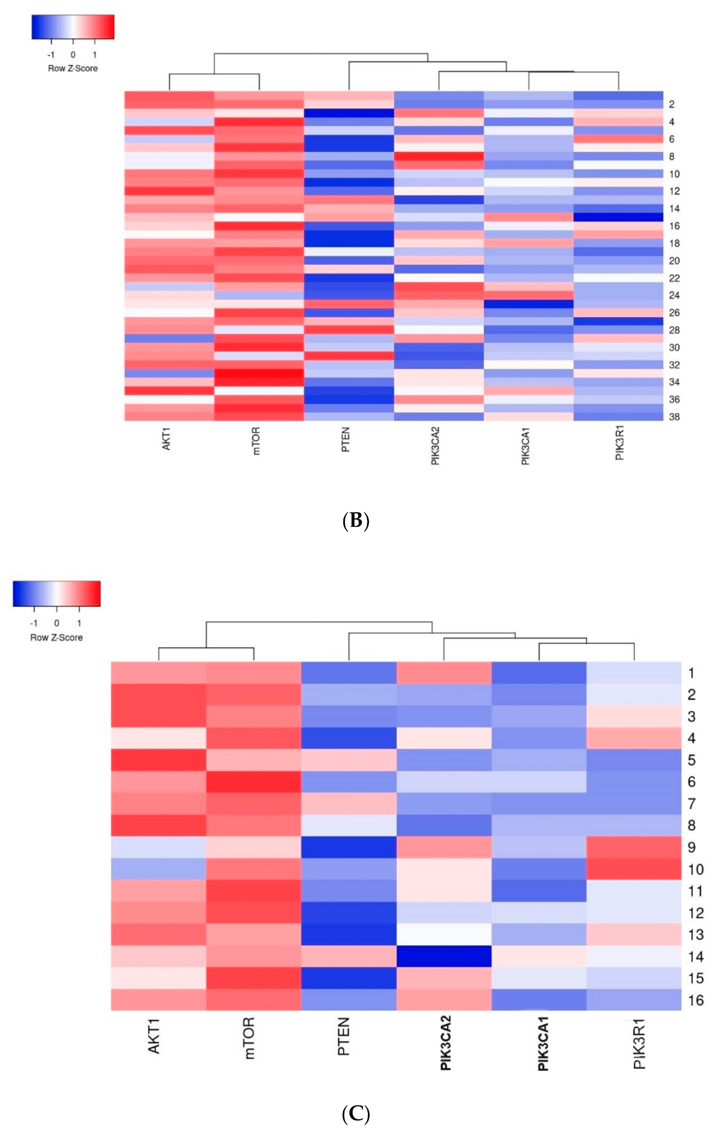 Ijms 22 02061 g007b Ijms 22 02061 g007b