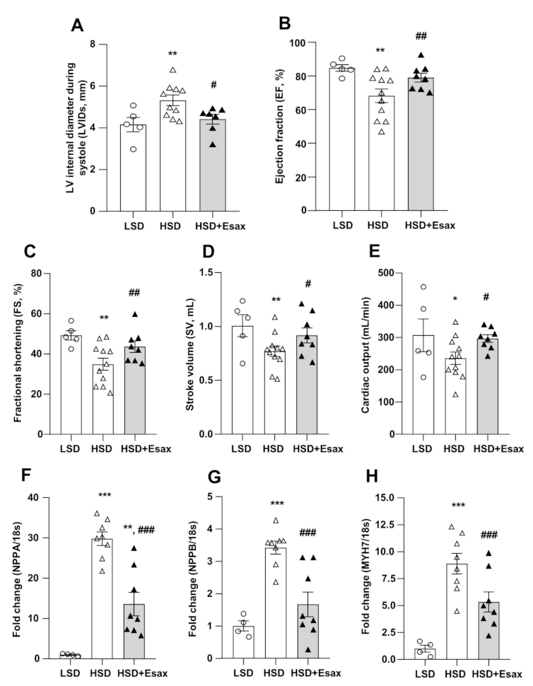 Ijms 22 02069 g002 Ijms 22 02069 g002