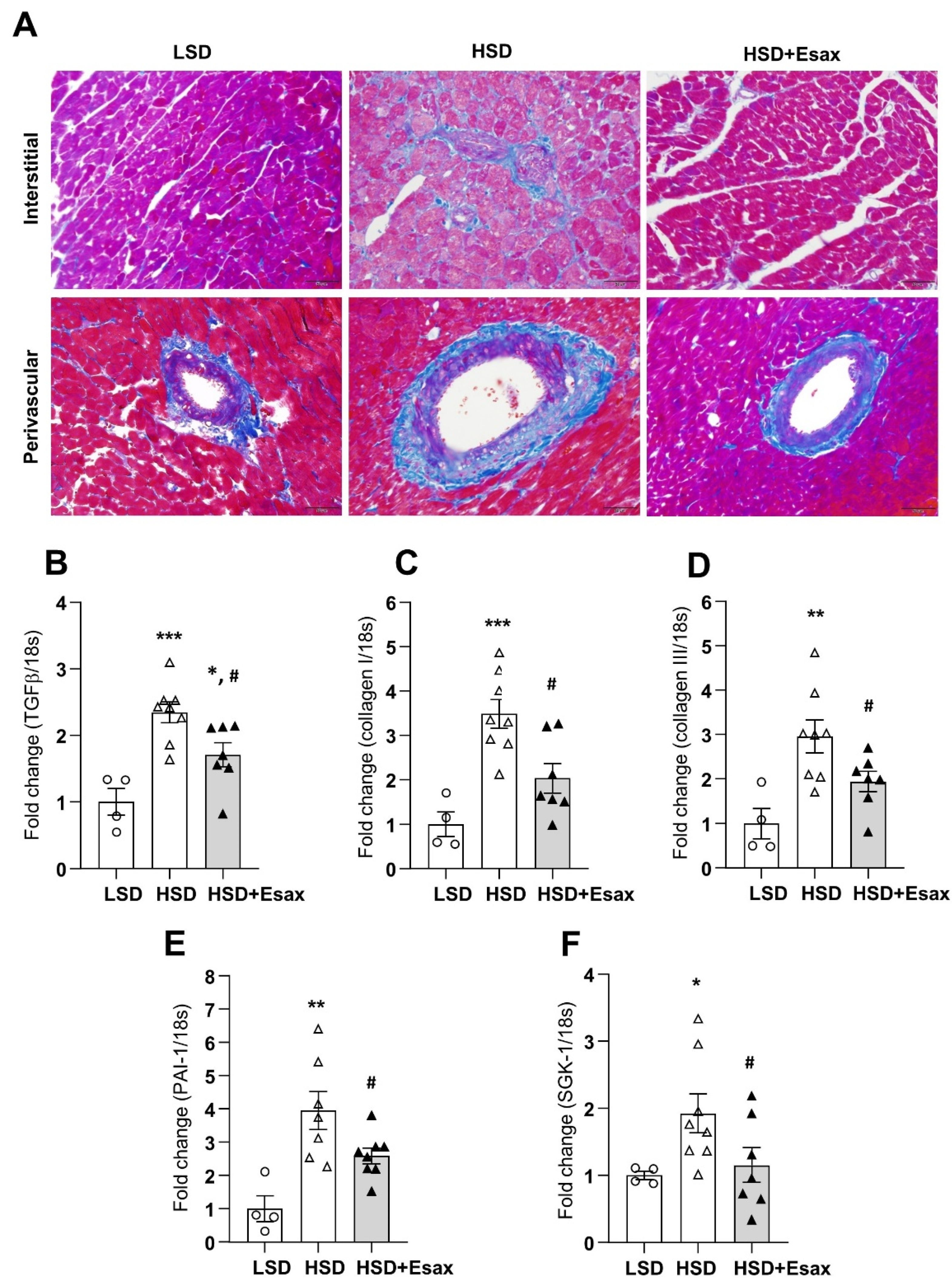 Ijms 22 02069 g003 Ijms 22 02069 g003
