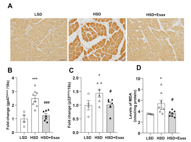 Ijms 22 02069 g005 Ijms 22 02069 g005