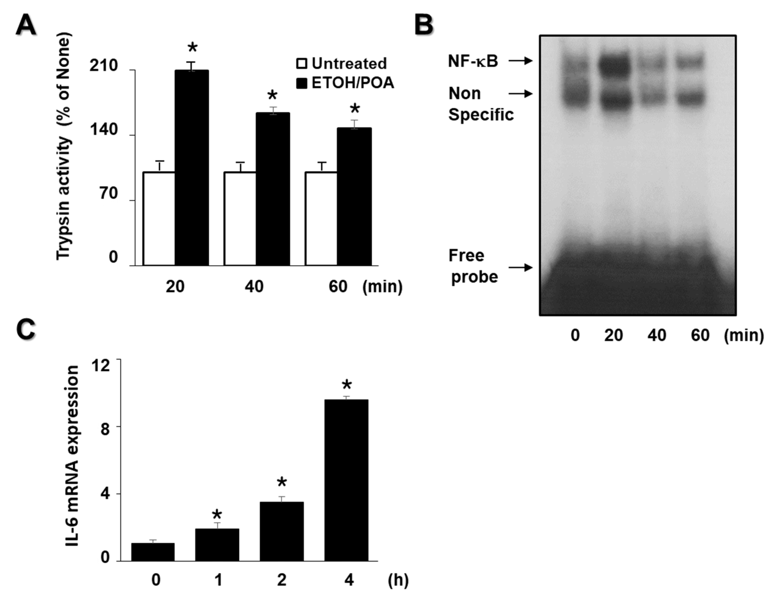 Ijms 22 02101 g001 Ijms 22 02101 g001