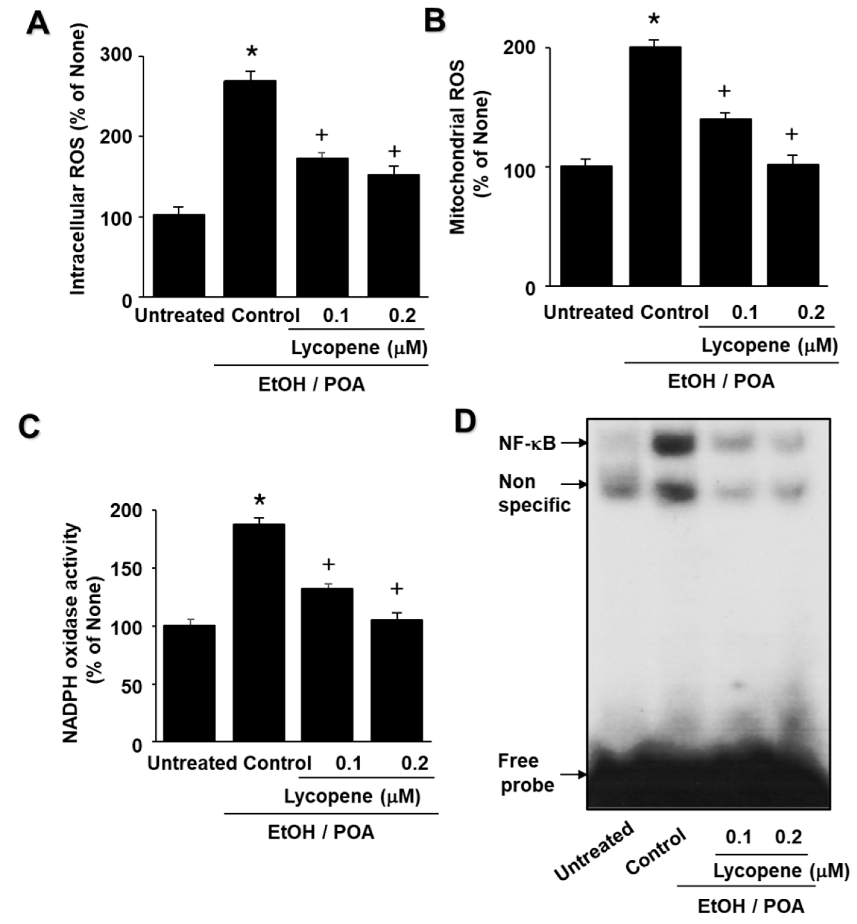 Ijms 22 02101 g002 Ijms 22 02101 g002