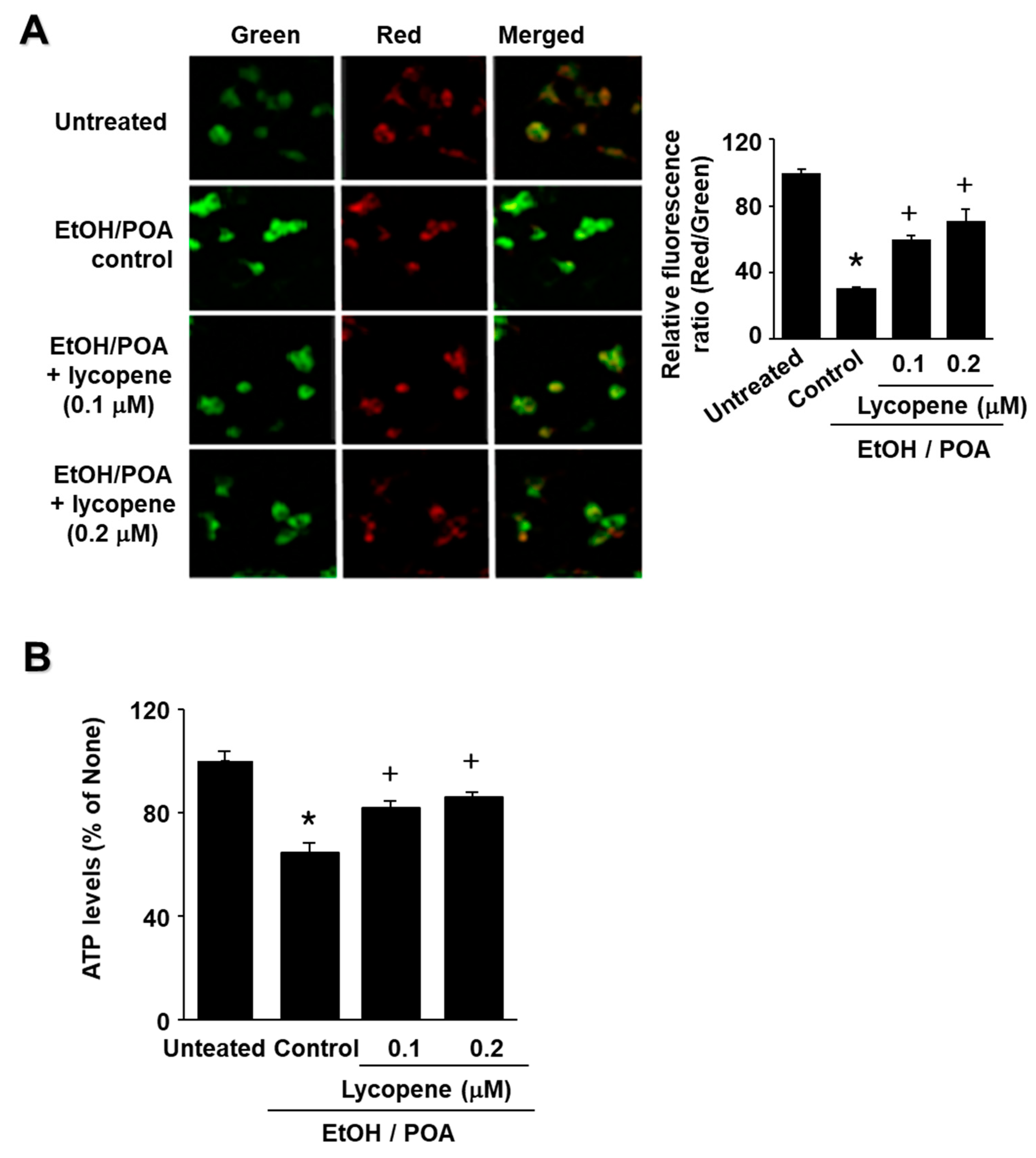 Ijms 22 02101 g003 Ijms 22 02101 g003