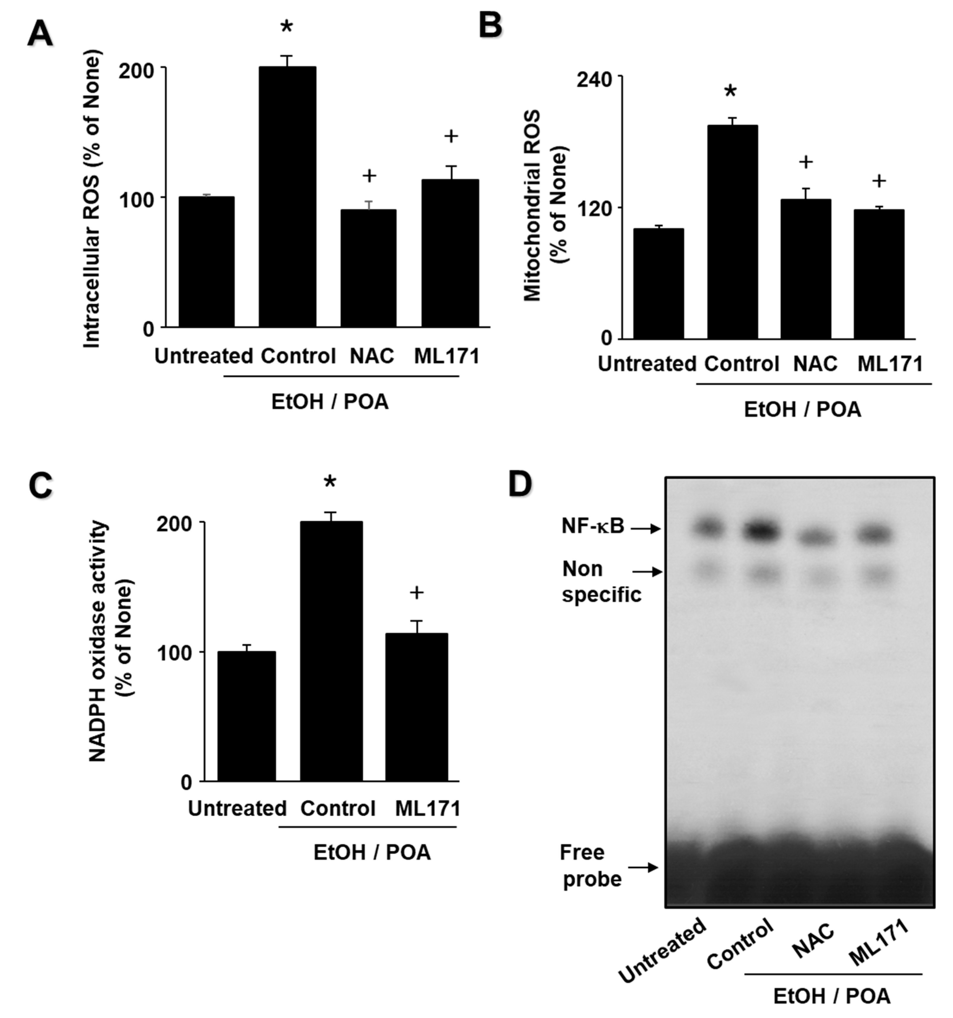 Ijms 22 02101 g006 Ijms 22 02101 g006