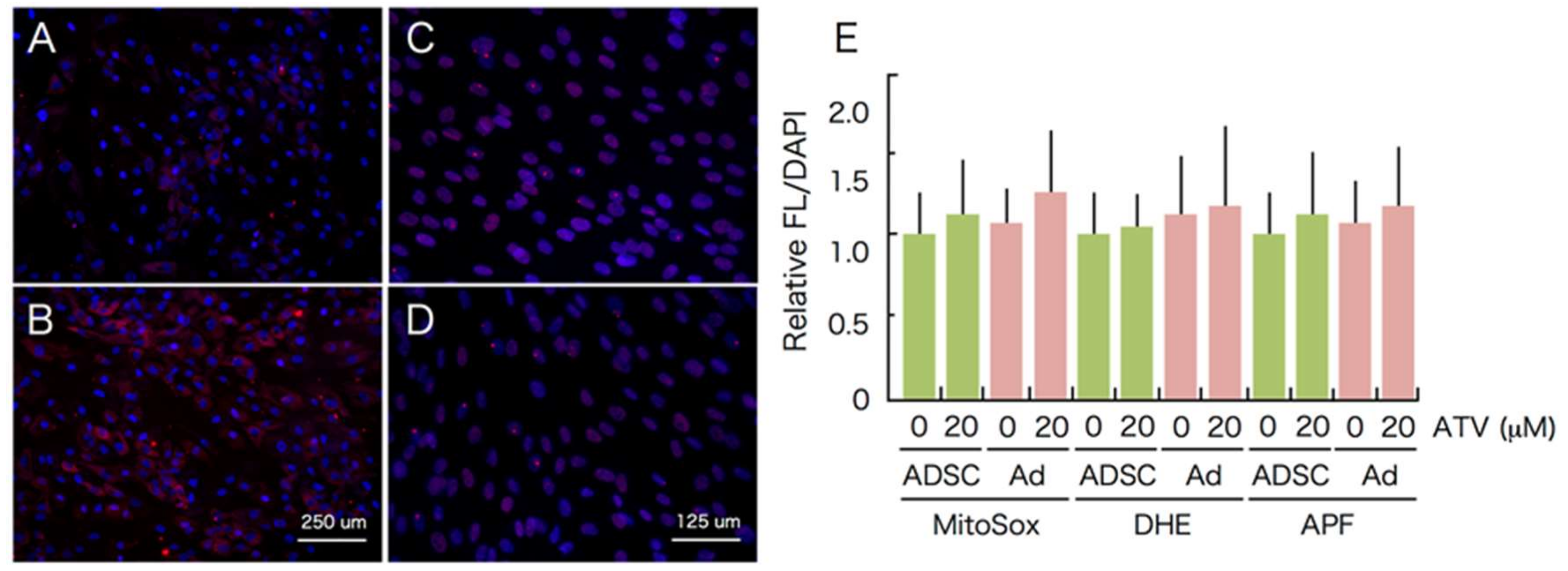 Ijms 22 02114 g009 Ijms 22 02114 g009