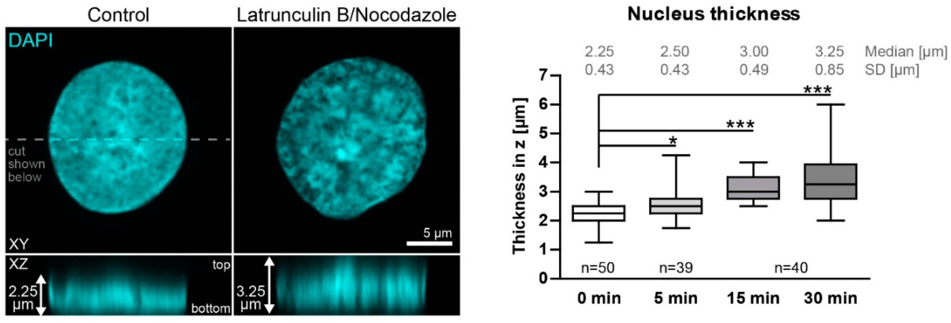 Ijms 22 02130 g0a2 Ijms 22 02130 g0a2