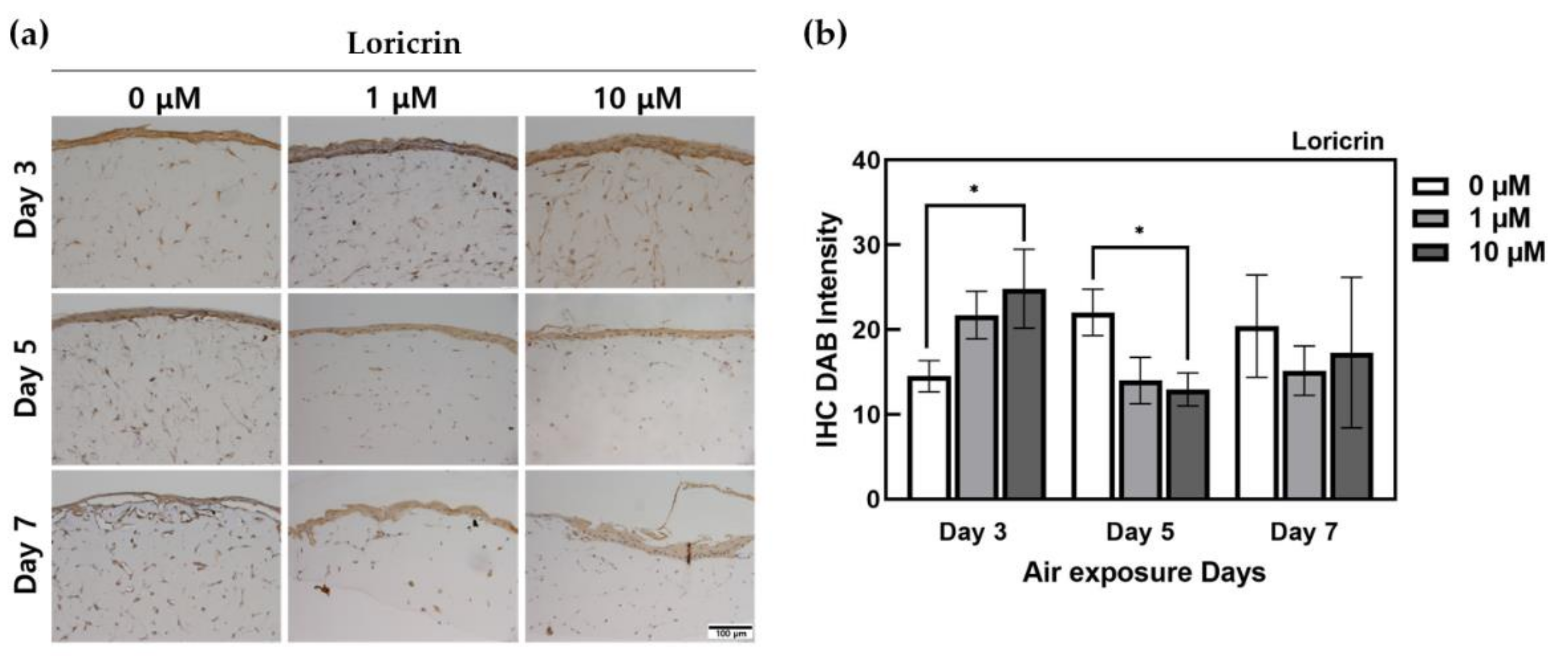 Ijms 22 02160 g005 Ijms 22 02160 g005