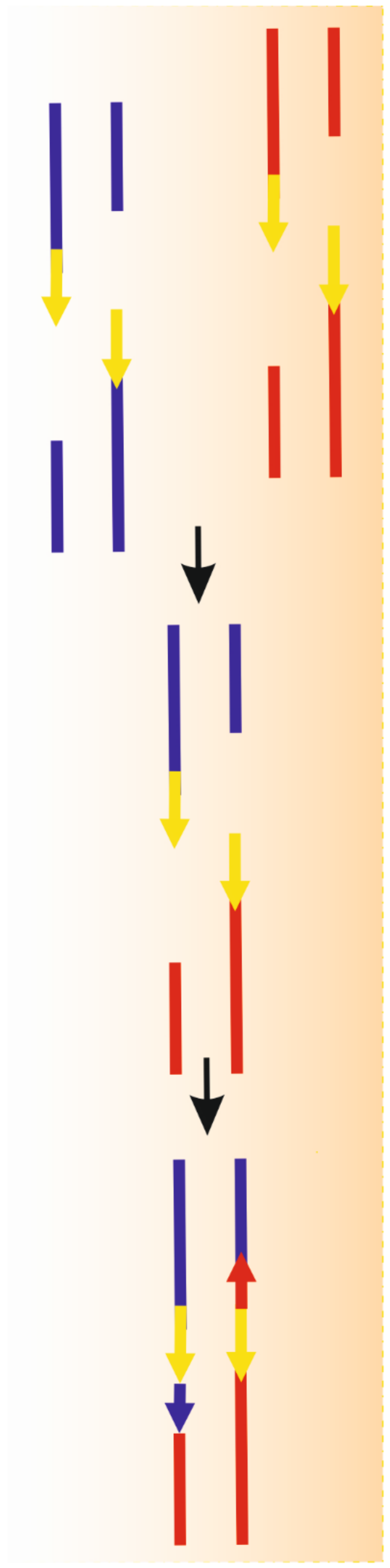 Ijms 22 02167 g004 Ijms 22 02167 g004