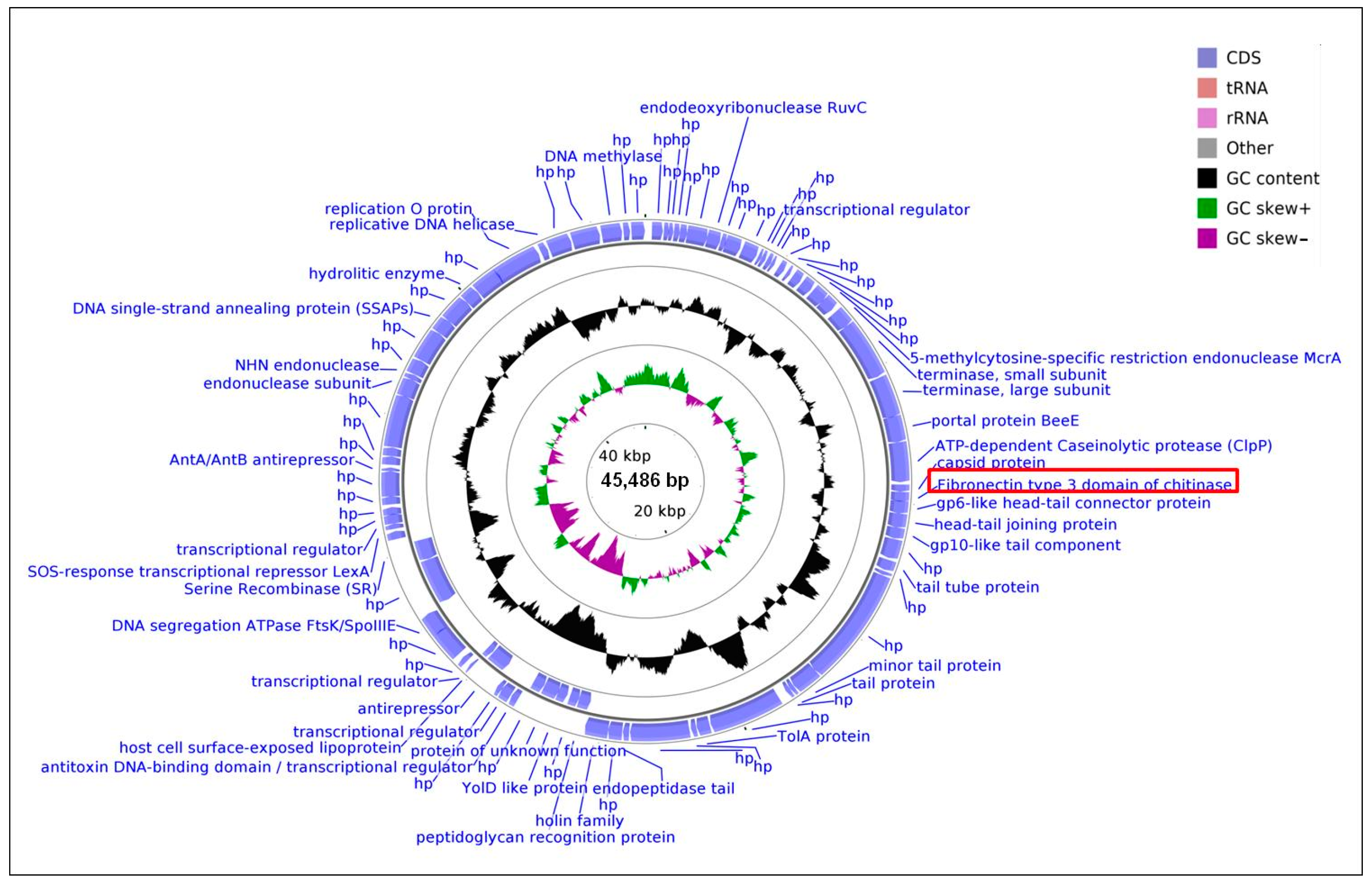 Ijms 22 02178 g005 Ijms 22 02178 g005