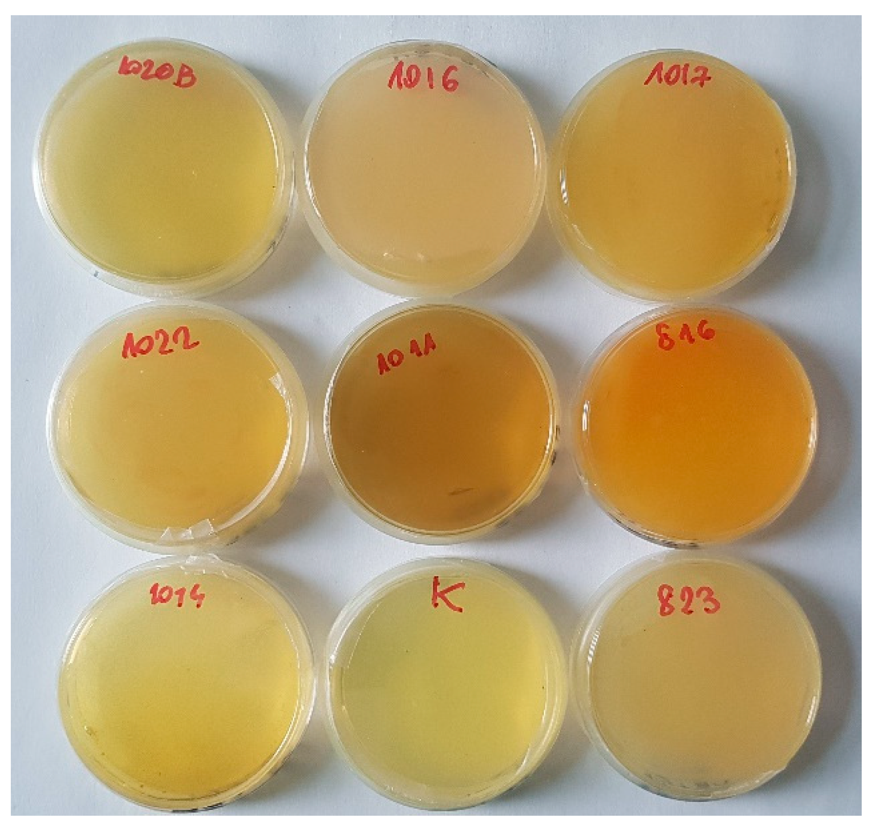 Ijms 22 02178 g010 Ijms 22 02178 g010