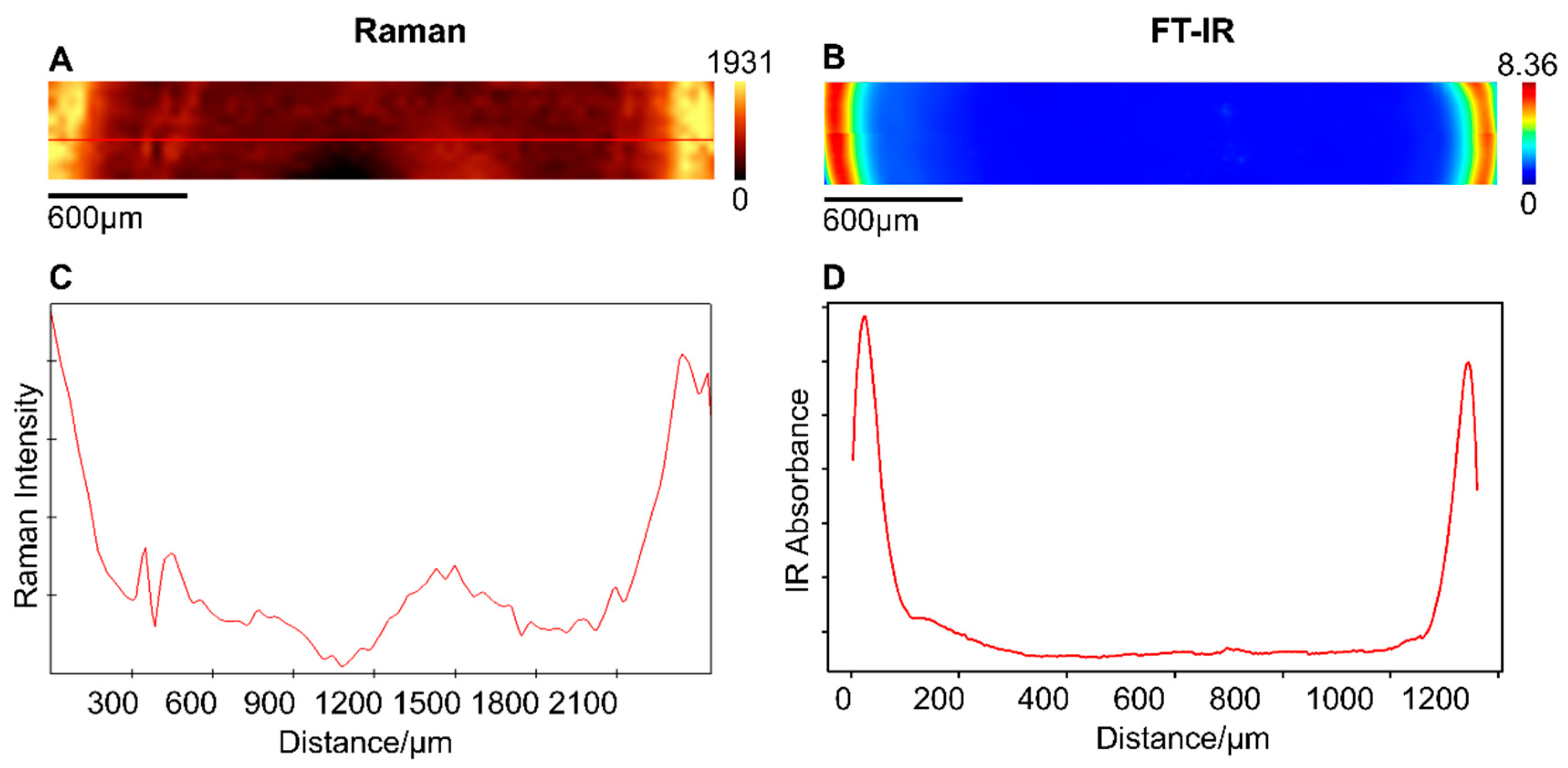 Ijms 22 02191 g001 Ijms 22 02191 g001