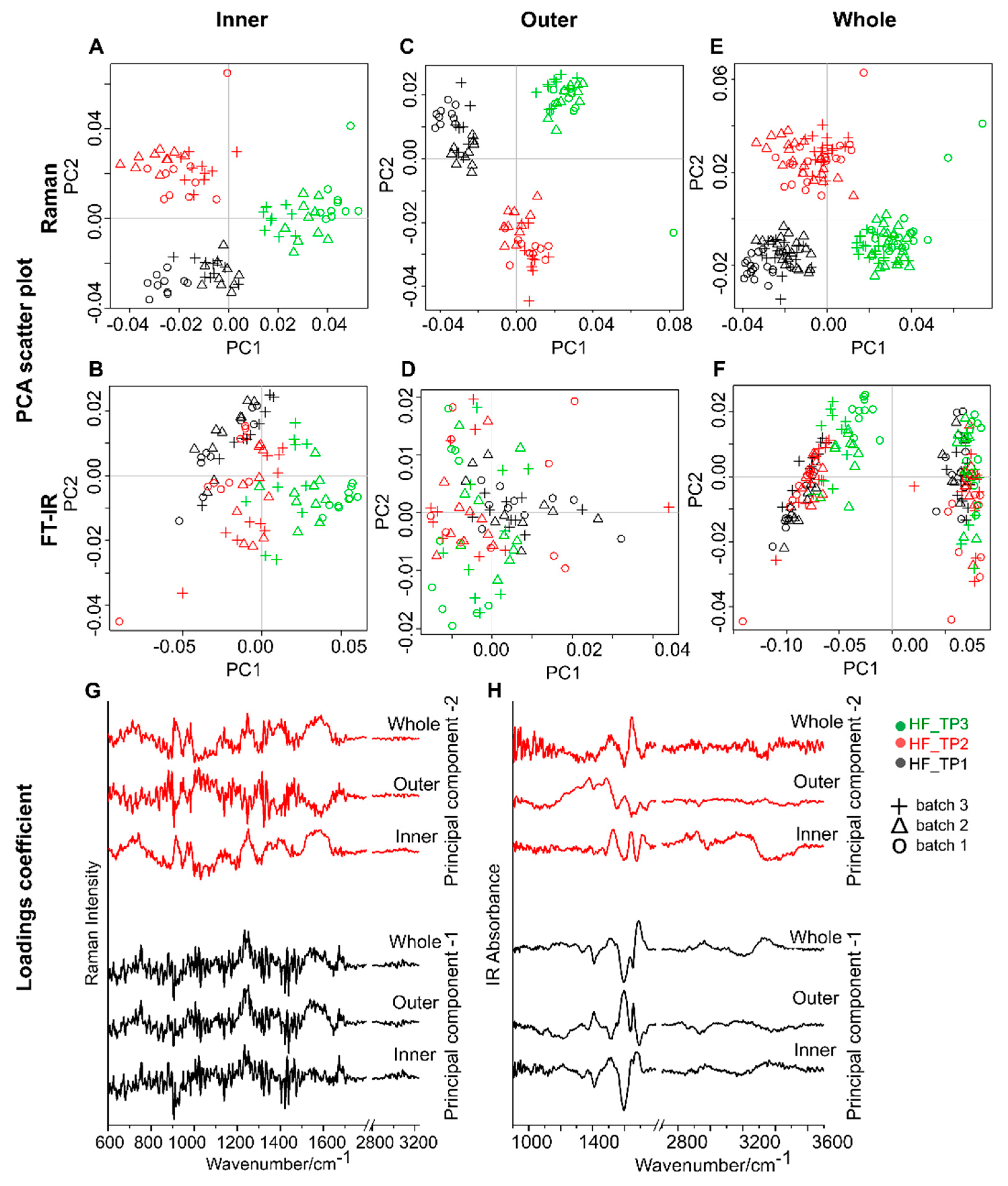 Ijms 22 02191 g004 Ijms 22 02191 g004