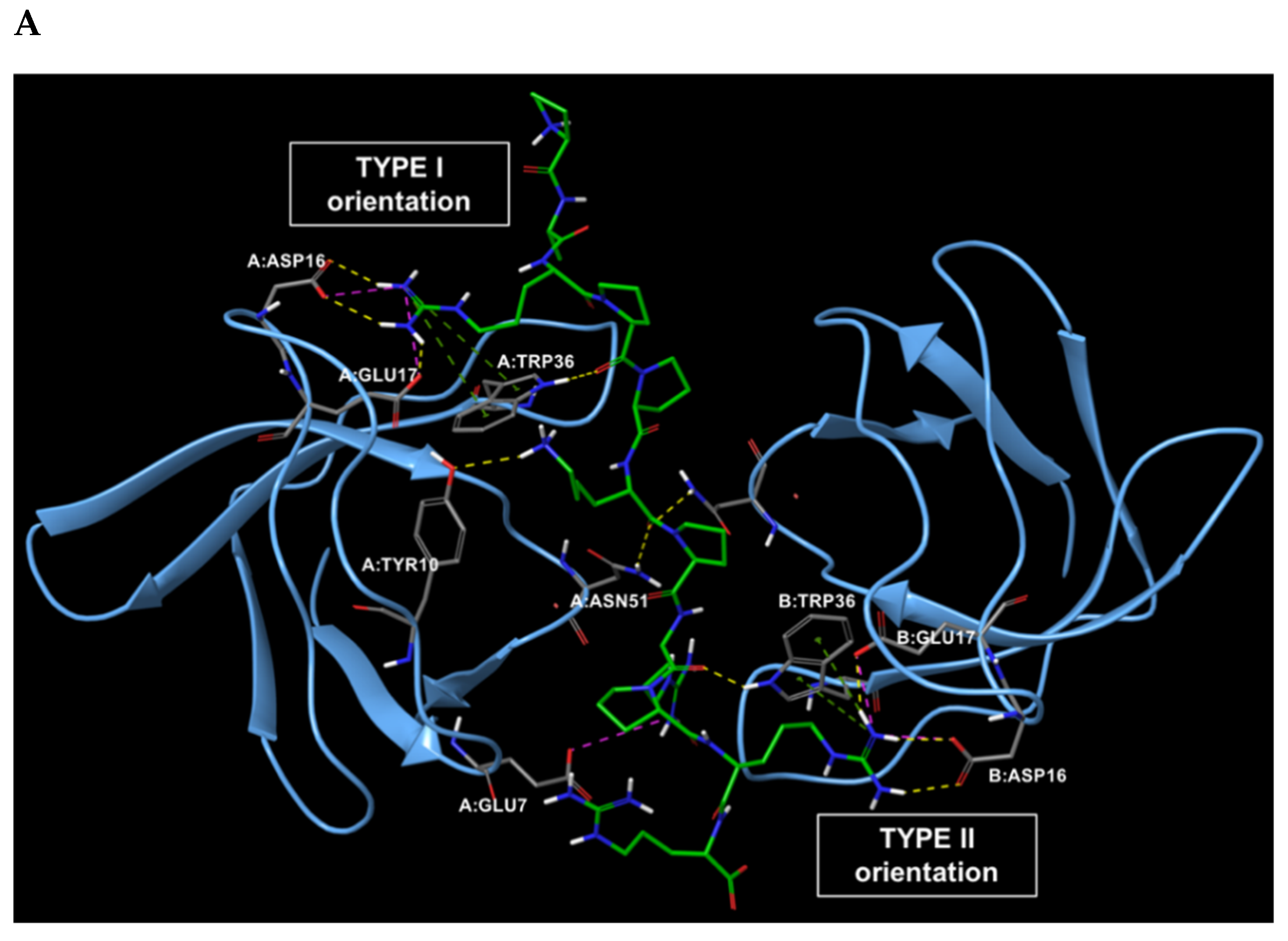 Ijms 22 02208 g002a Ijms 22 02208 g002a