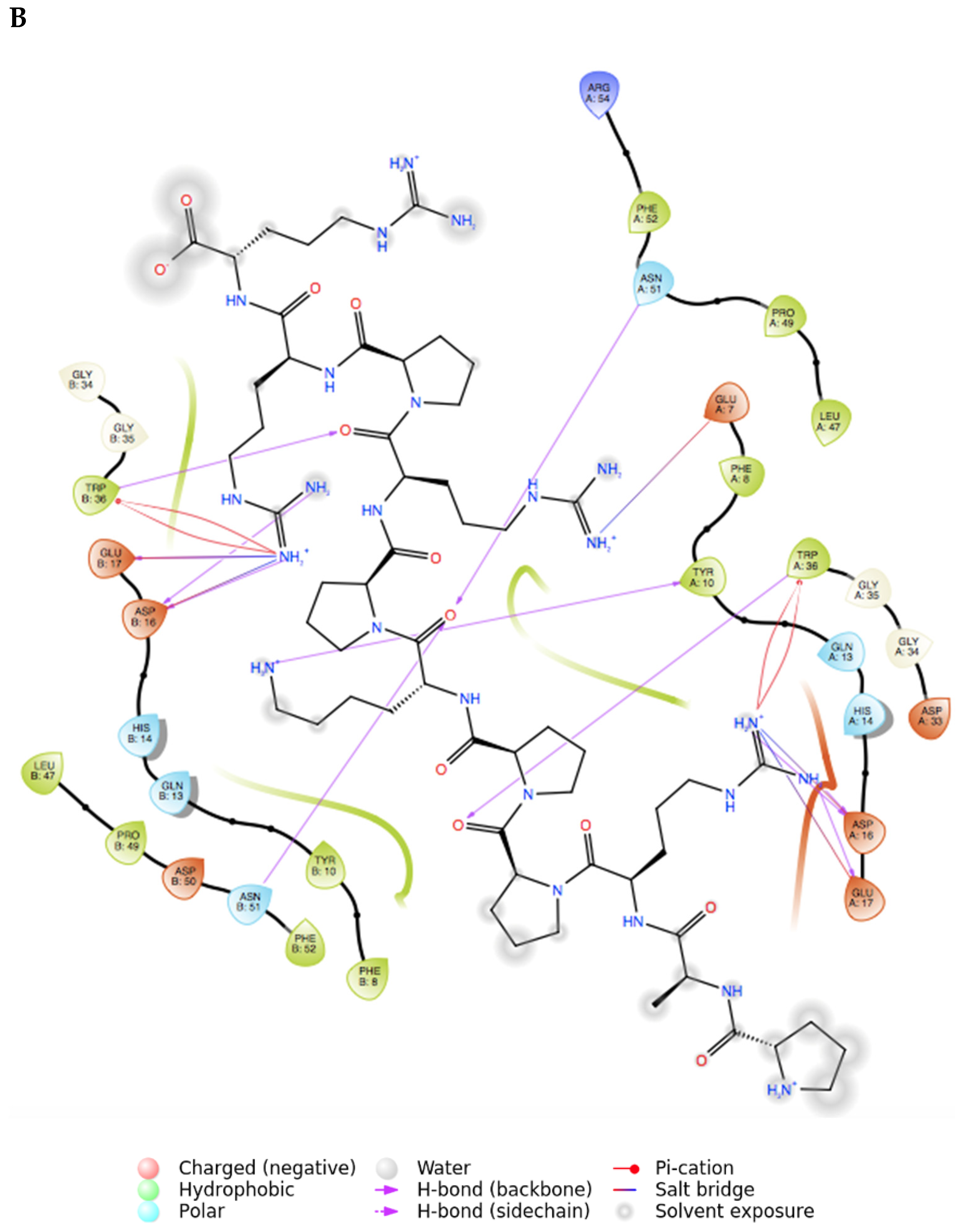 Ijms 22 02208 g002b Ijms 22 02208 g002b