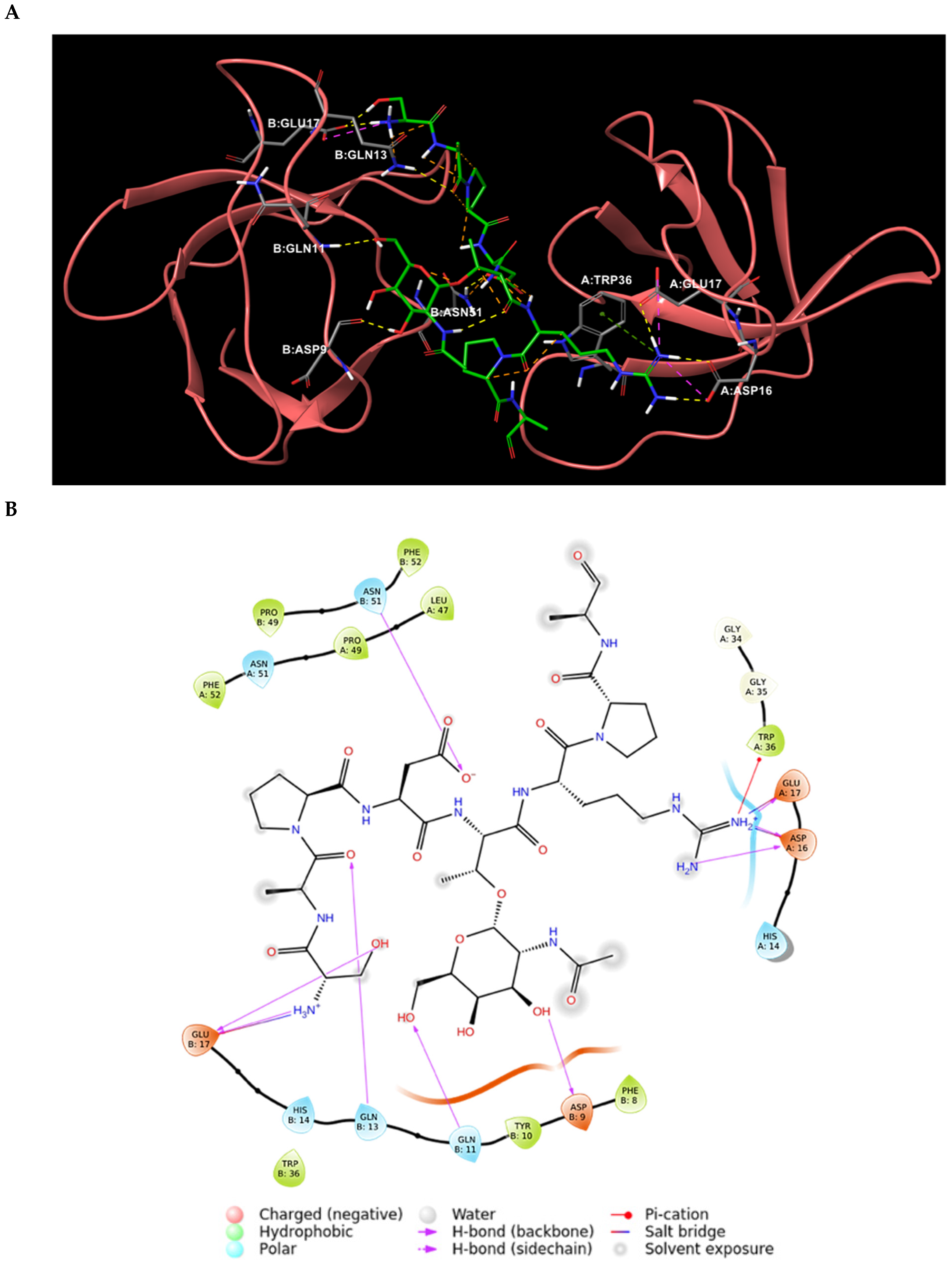 Ijms 22 02208 g005 Ijms 22 02208 g005